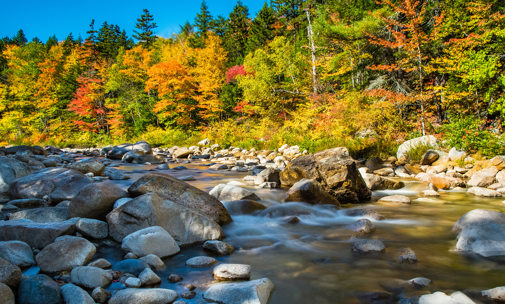 Pentax K-3 II sample photo. River foliage photography