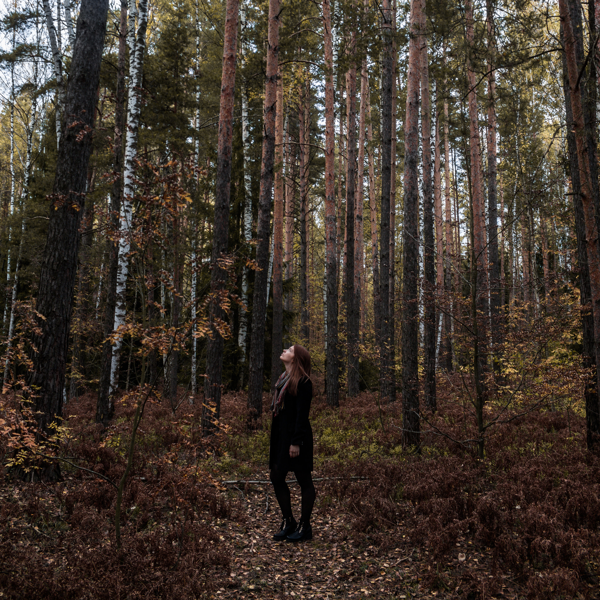 Canon EOS 650D (EOS Rebel T4i / EOS Kiss X6i) sample photo. Forest photography
