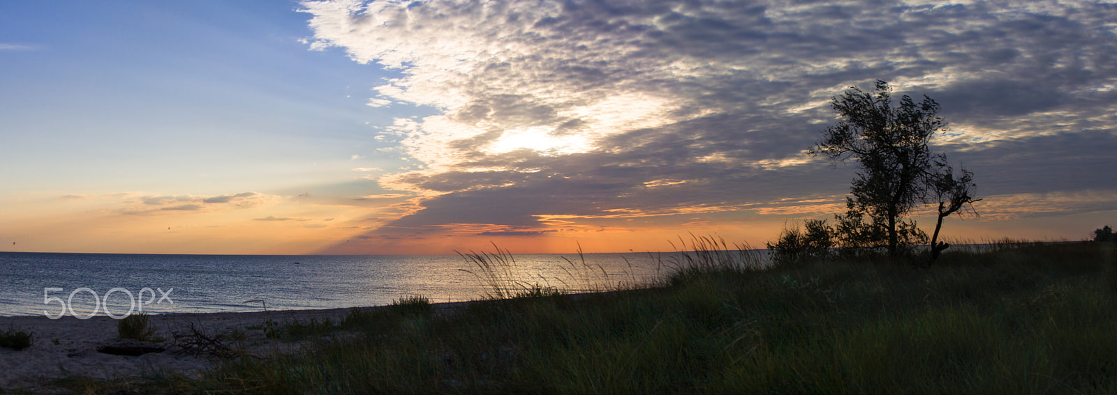 Canon EF 24-85mm F3.5-4.5 USM sample photo. Sunset, tree and sea. photography
