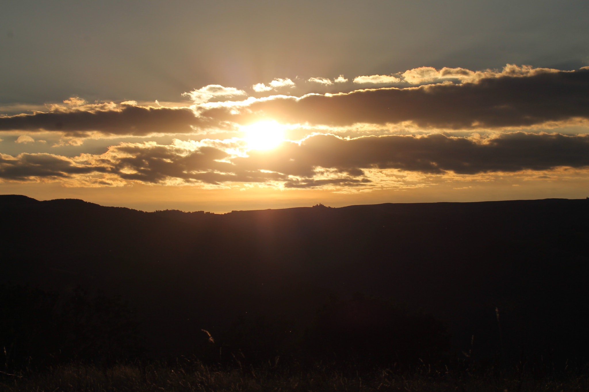 Canon EF 80-200mm F4.5-5.6 II sample photo