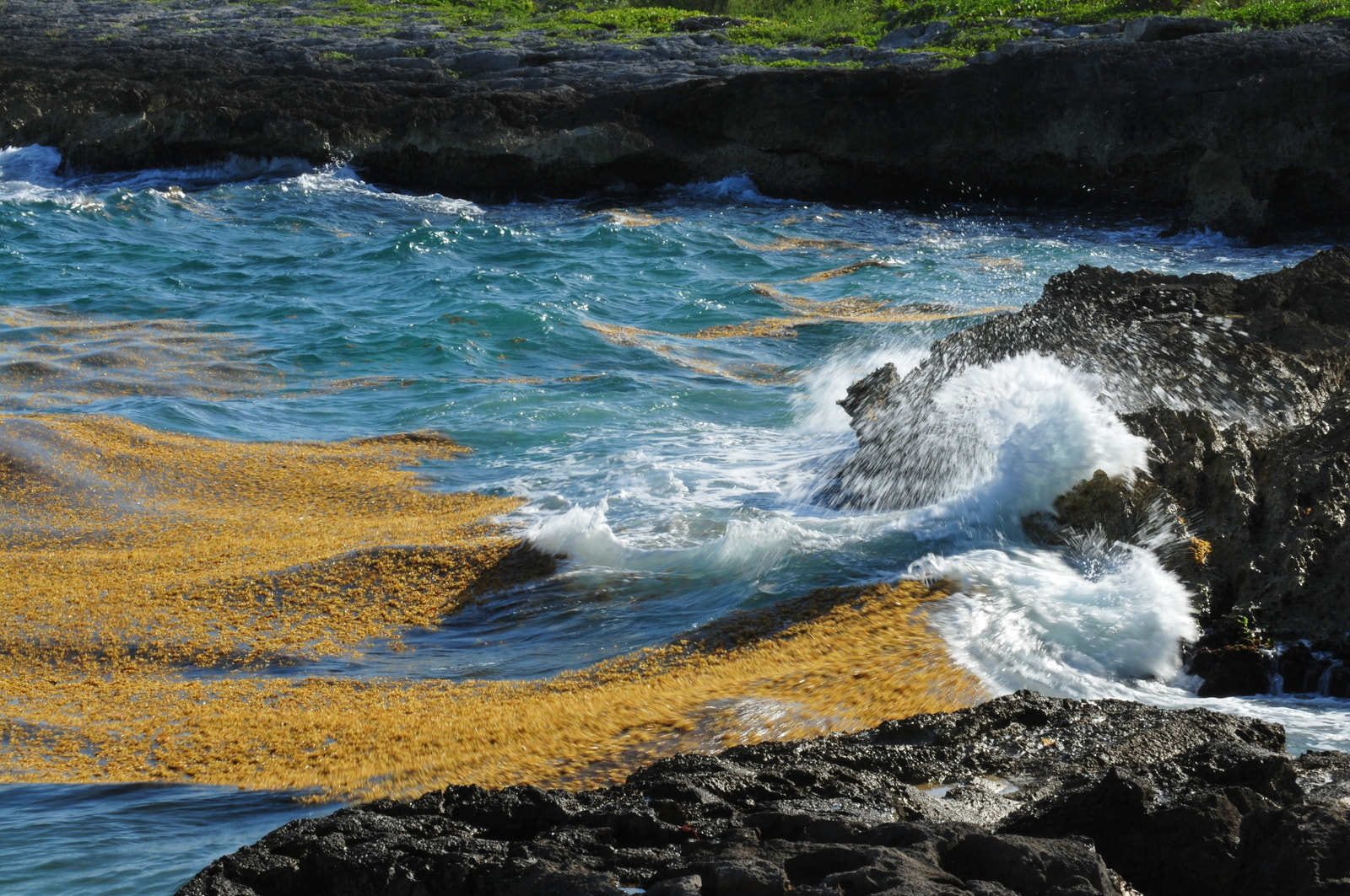 Nikon AF-S Nikkor 70-200mm F4G ED VR sample photo. Mexique x caret photography