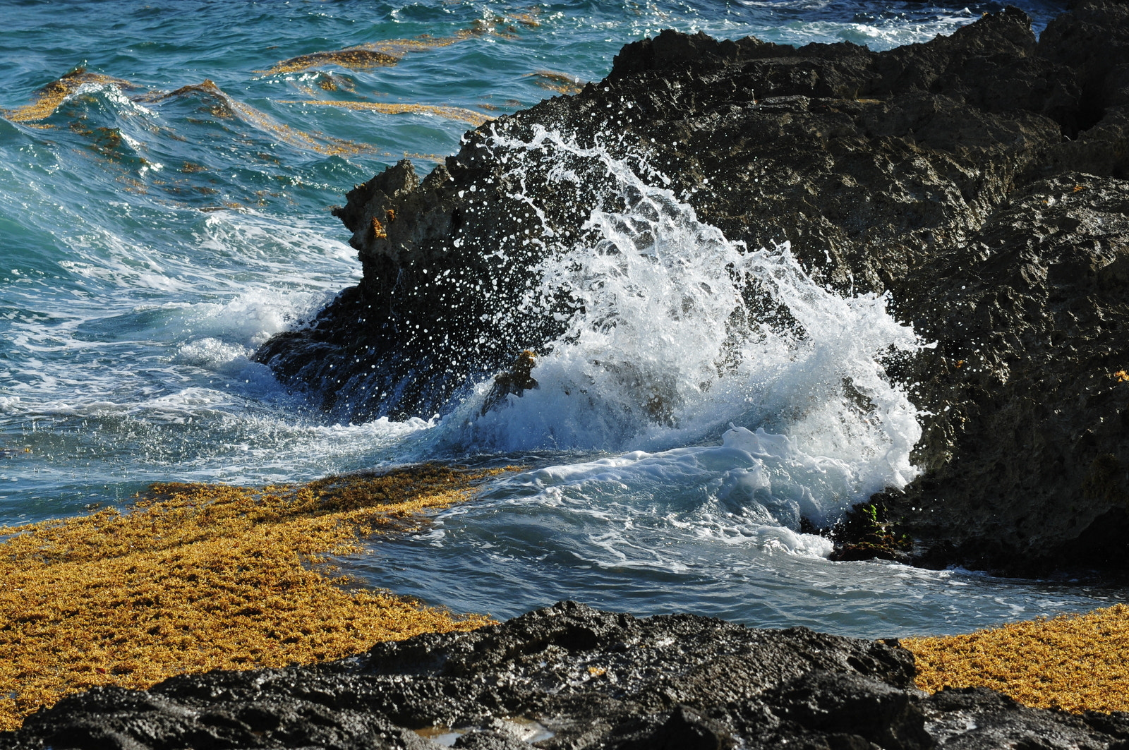Nikon AF-S Nikkor 70-200mm F4G ED VR sample photo. Mexique x caret photography