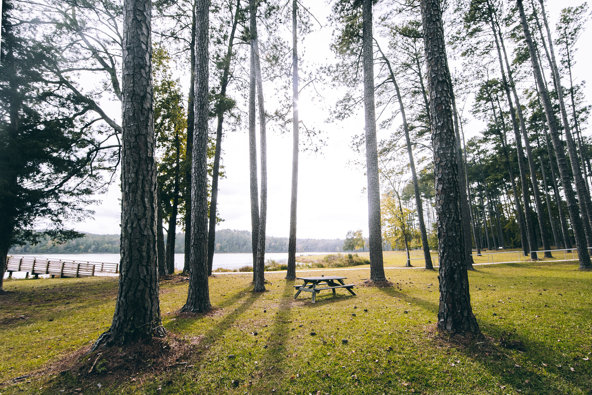 Canon EF 14mm F2.8L II USM sample photo. Mother nature photography