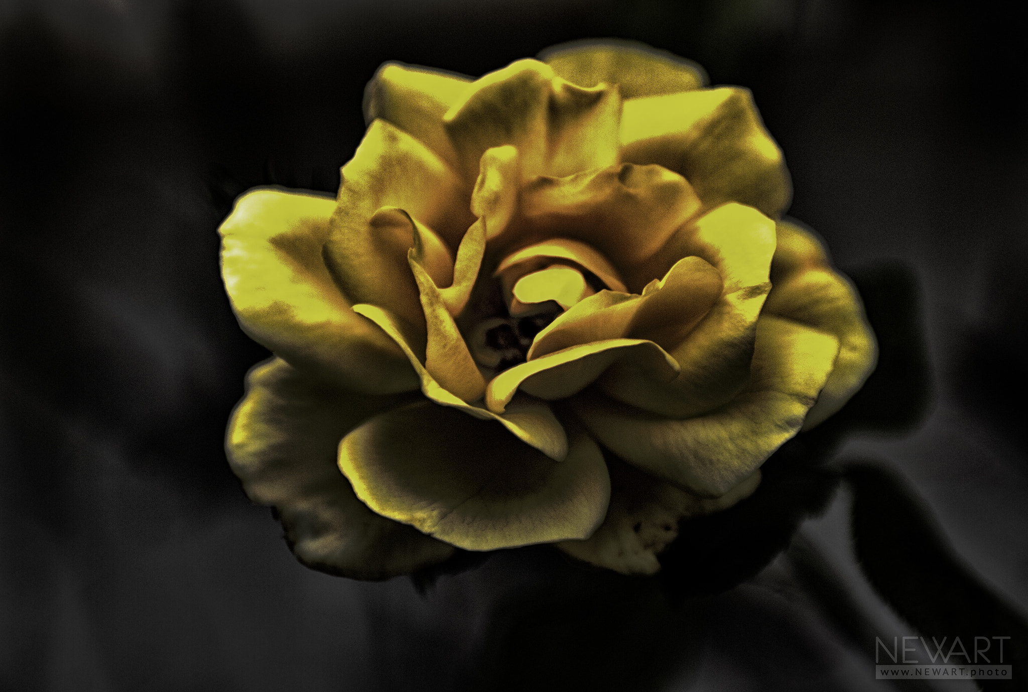 EF28-70mm f/2.8L USM sample photo. 5811 photography