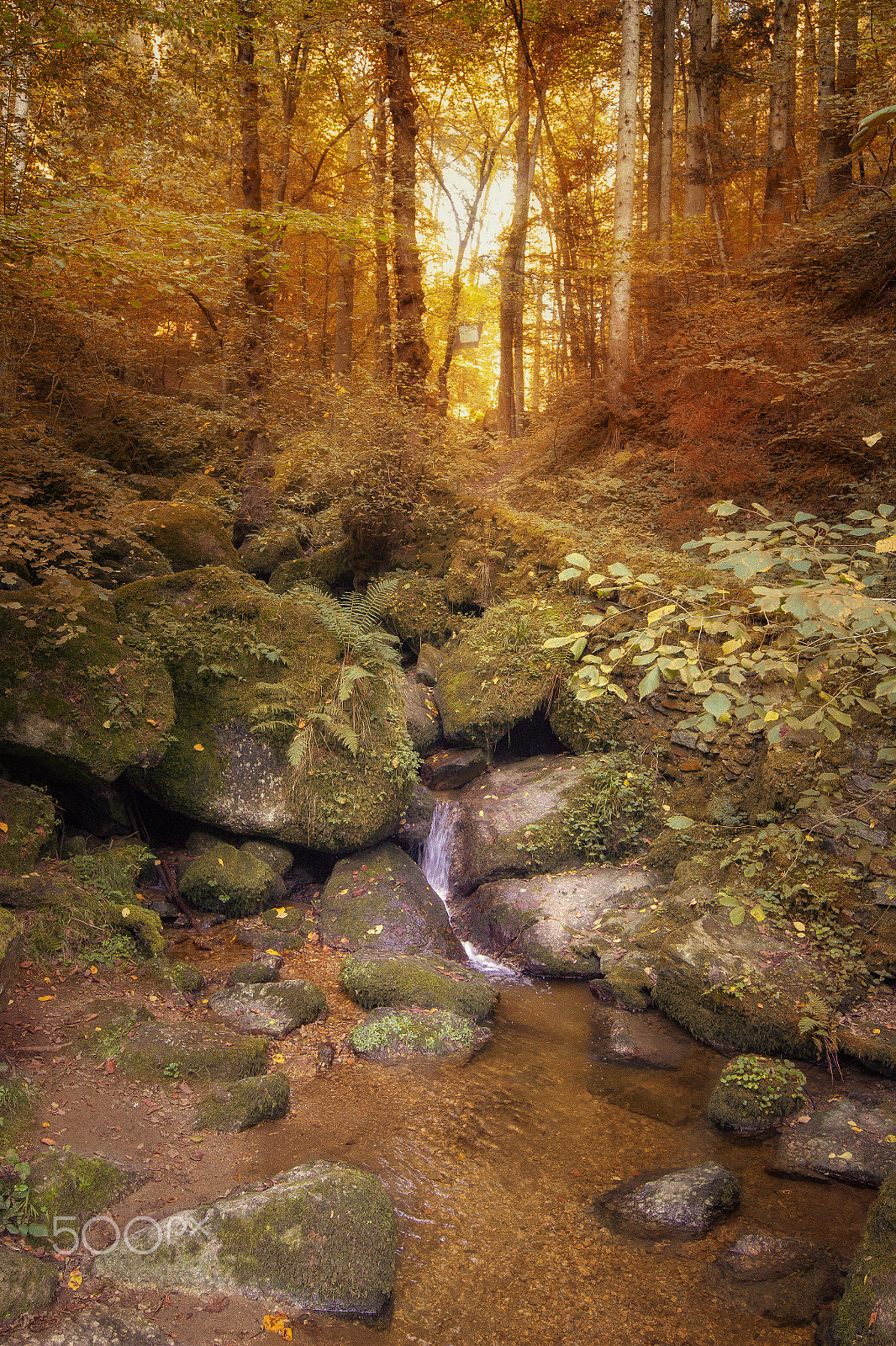 Canon EOS 600D (Rebel EOS T3i / EOS Kiss X5) + Canon EF 16-35mm F4L IS USM sample photo. Autumn mood at pesenbachtal photography