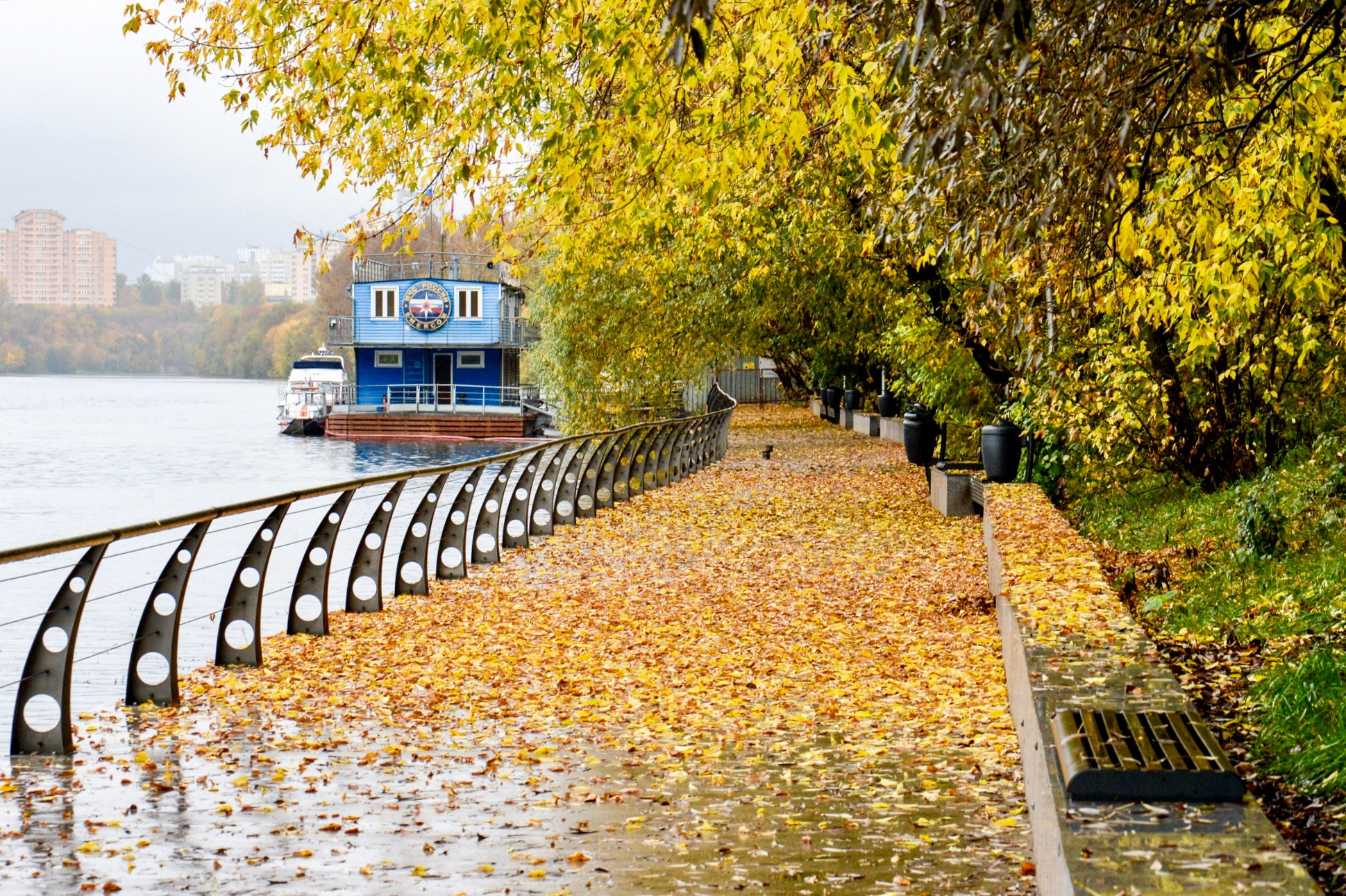 Nikon Df sample photo. Autumn, moscow, filevsky park photography