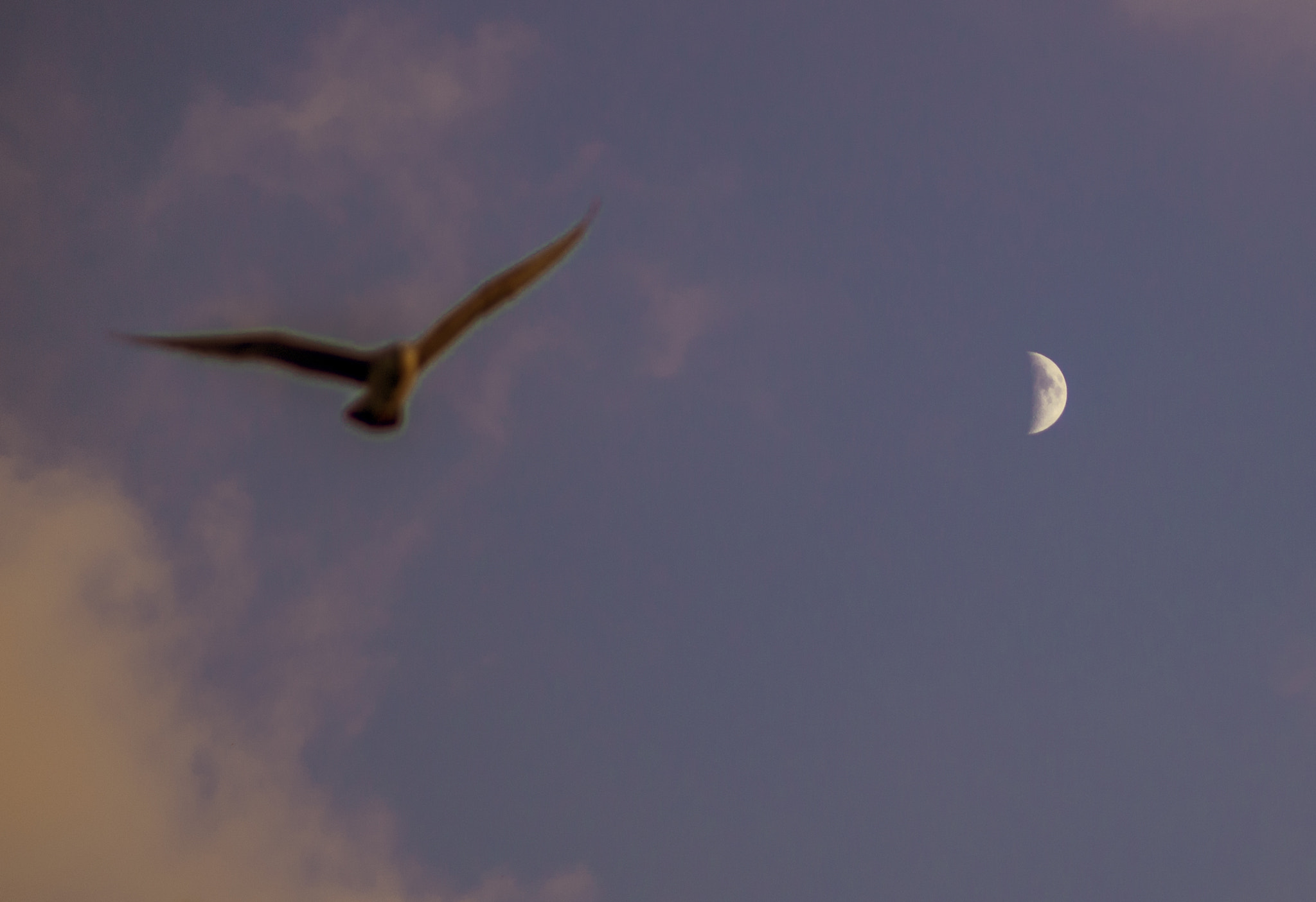Nikon D600 sample photo. Good night photography