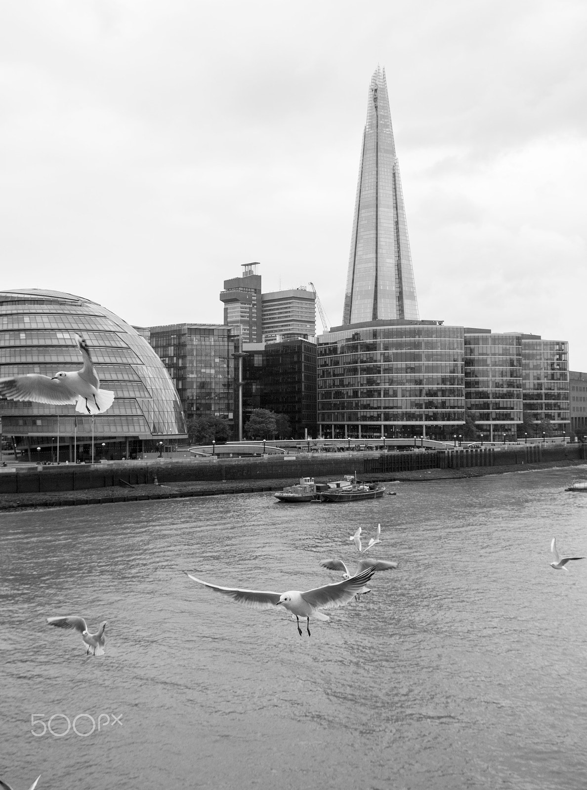 Canon EOS 7D Mark II + Tamron SP AF 17-50mm F2.8 XR Di II LD Aspherical (IF) sample photo. Seagulls in the london skyline photography