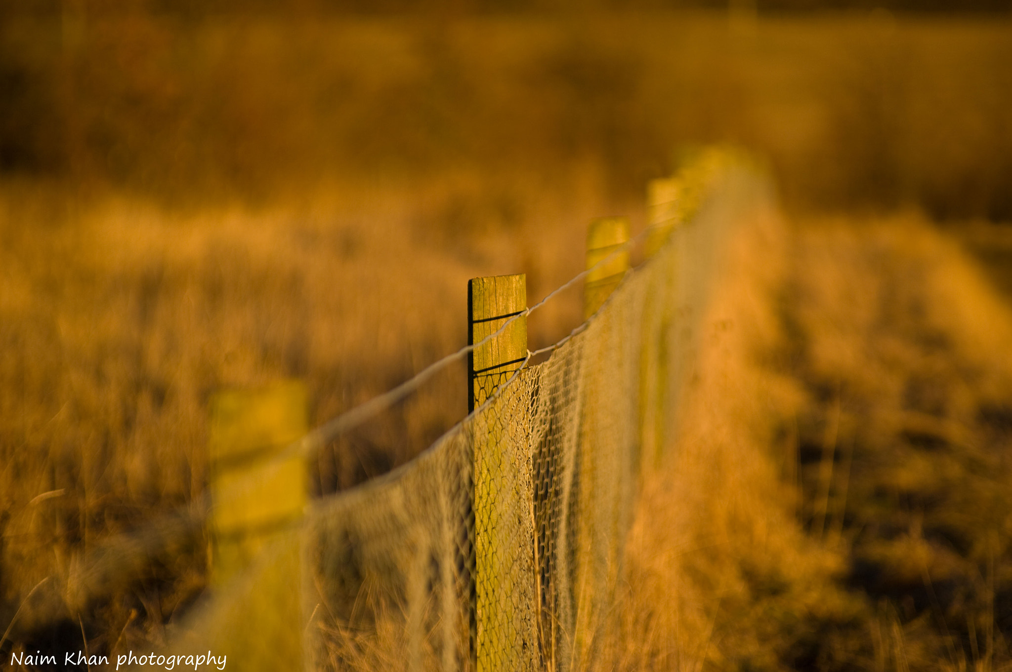 Pentax K20D sample photo. The fence photography