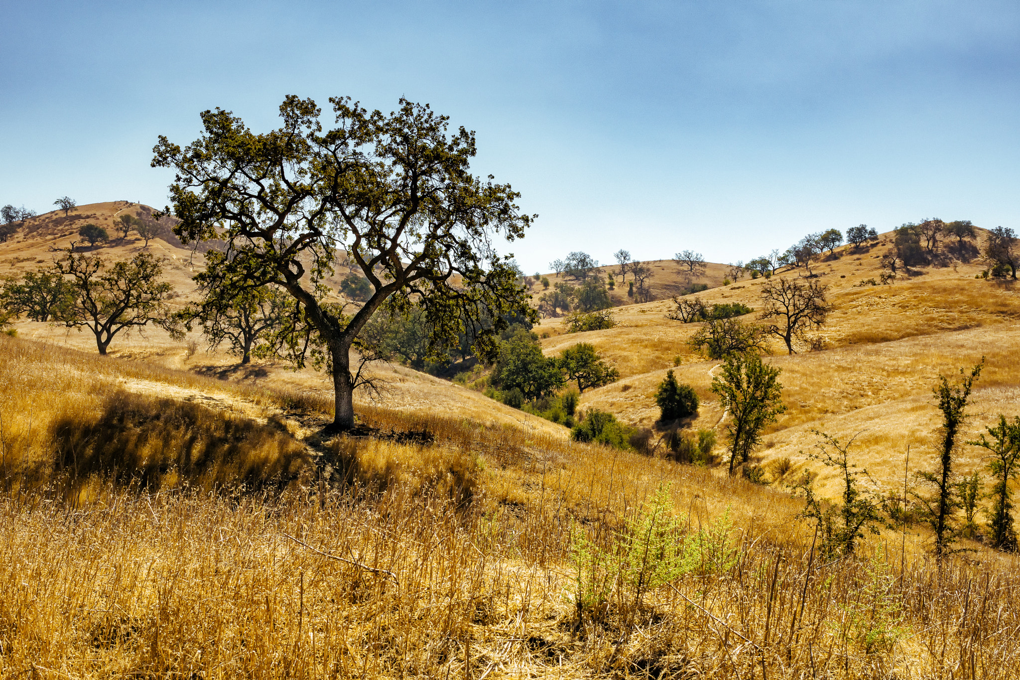E 32mm F1.8 sample photo. Morning hike photography