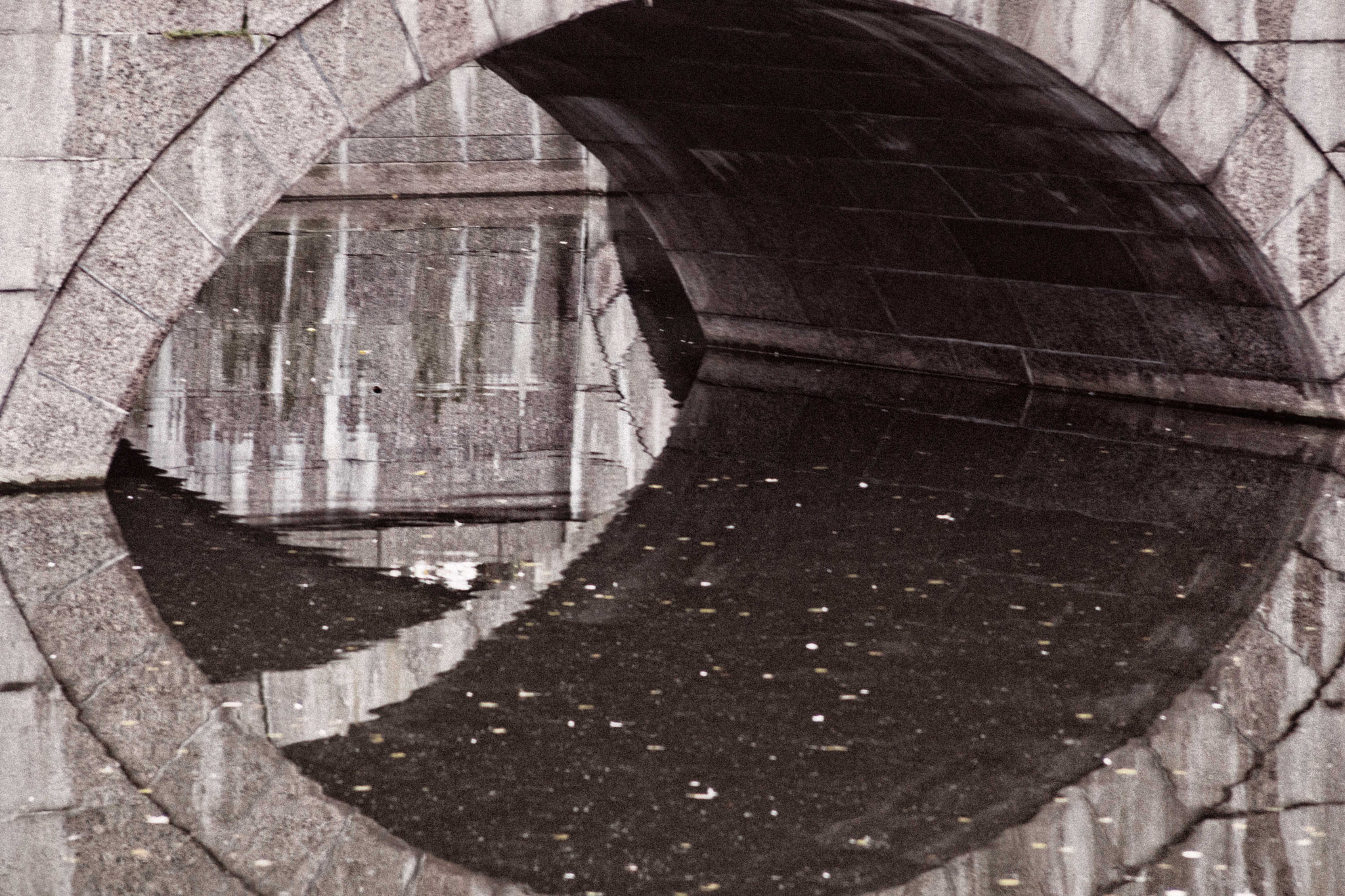 Sony SLT-A77 + Minolta AF 50mm F1.7 sample photo. Reflection photography