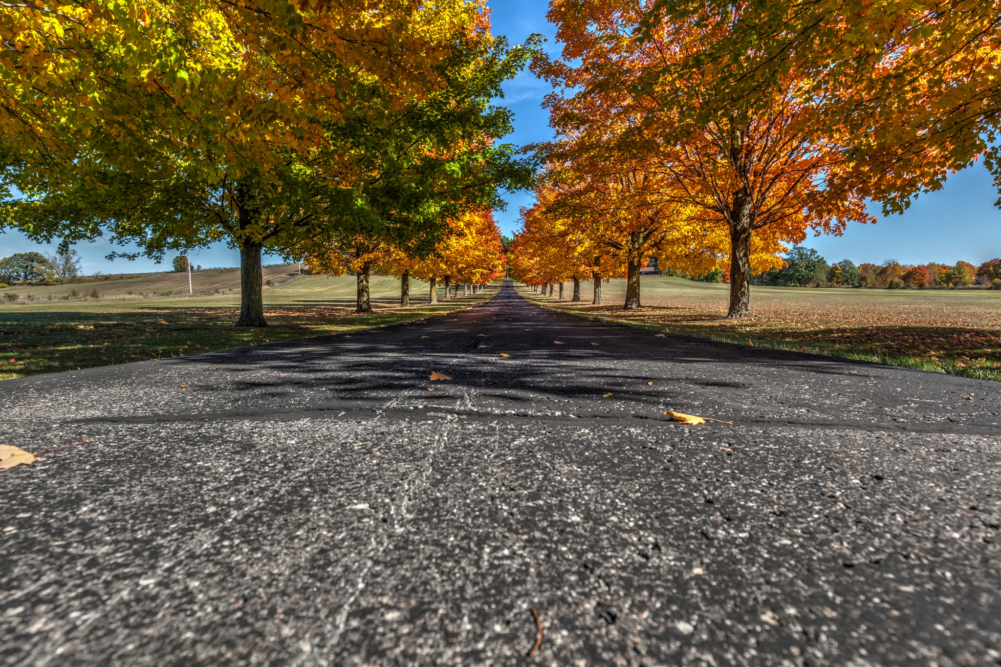 Canon EF 16-35mm F4L IS USM sample photo. The long driveway photography