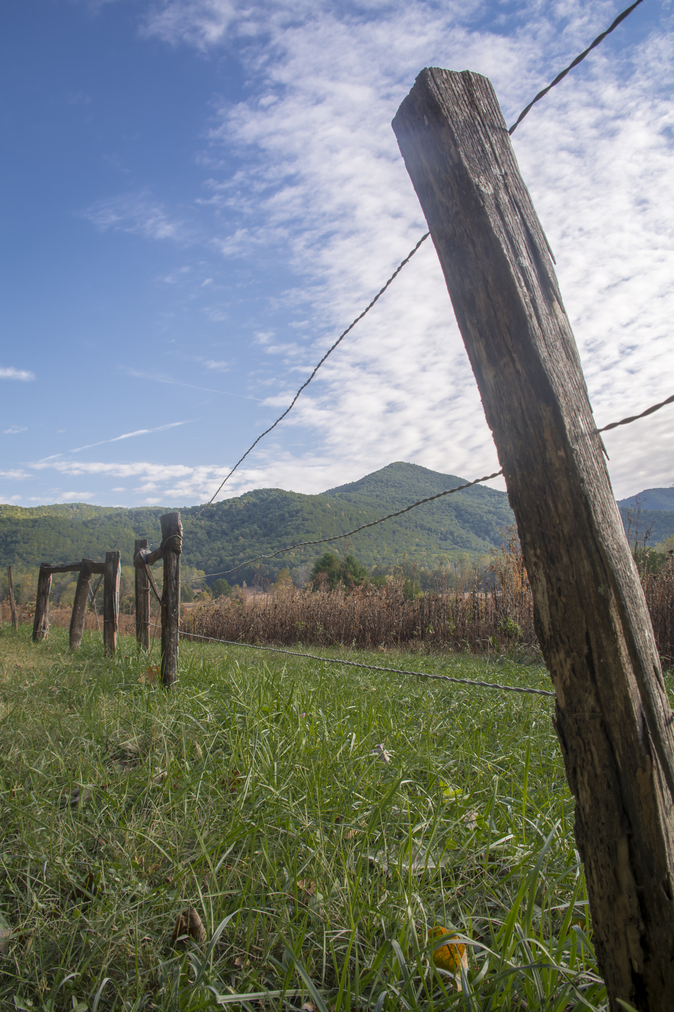 Sigma 18-50mm F3.5-5.6 DC sample photo. Cades cove  photography