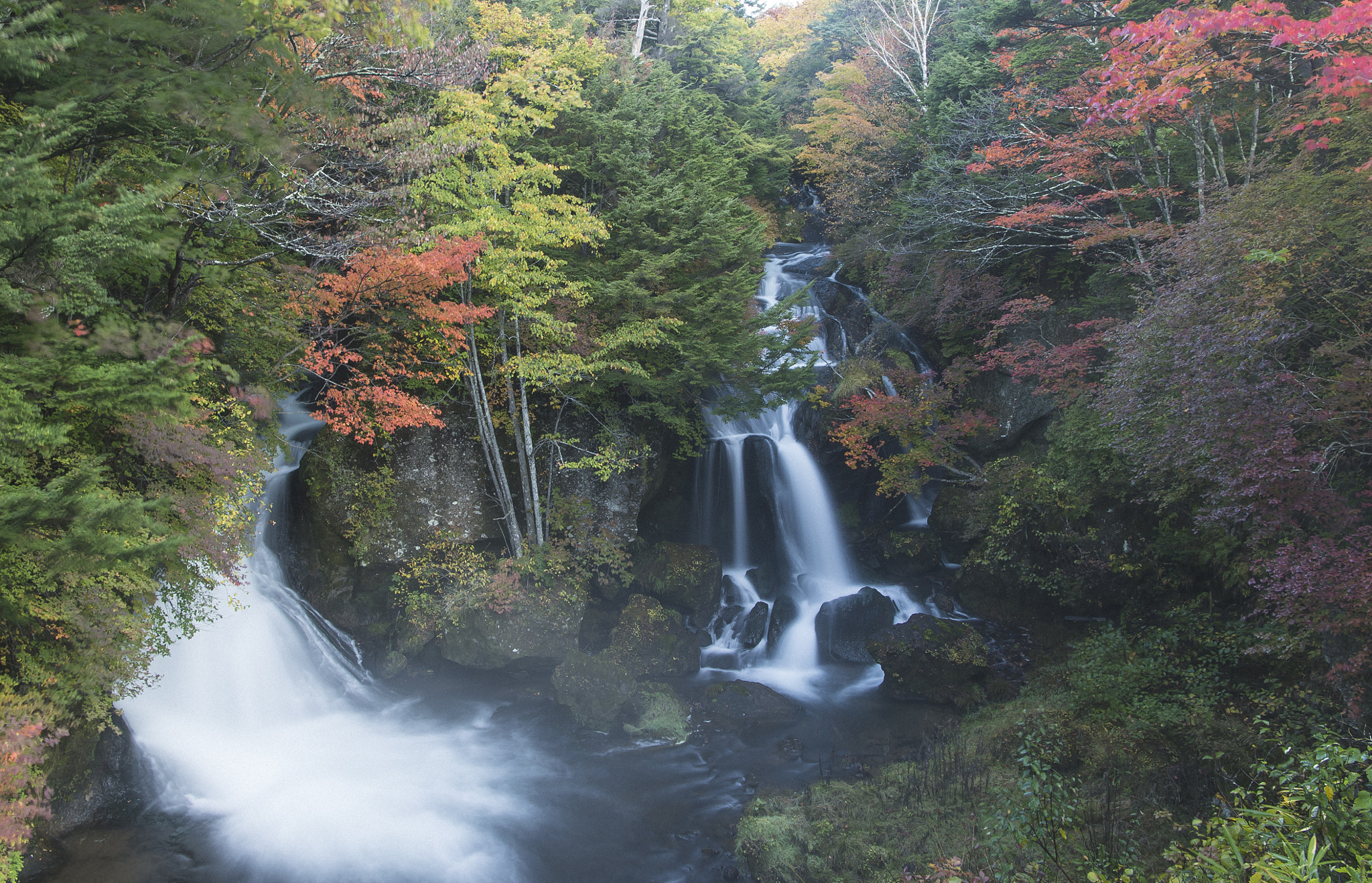 Nikon AF-S Nikkor 24-70mm F2.8E ED VR sample photo. I begin changing color in autumnal scenery photography