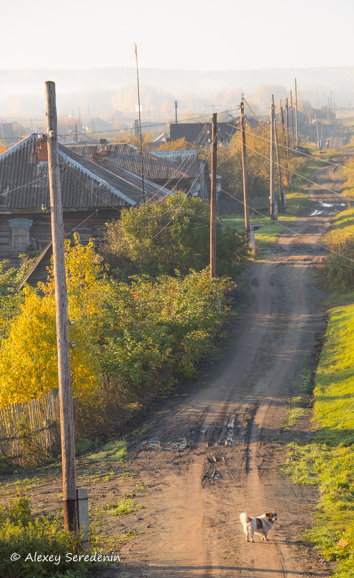 Canon EF-S 18-135mm F3.5-5.6 IS sample photo. Morning in the village. photography