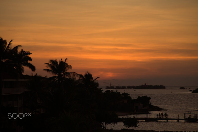 Canon EOS 5D Mark II + Sigma 70-300mm F4-5.6 APO DG Macro sample photo. Img sunset in montego bay photography