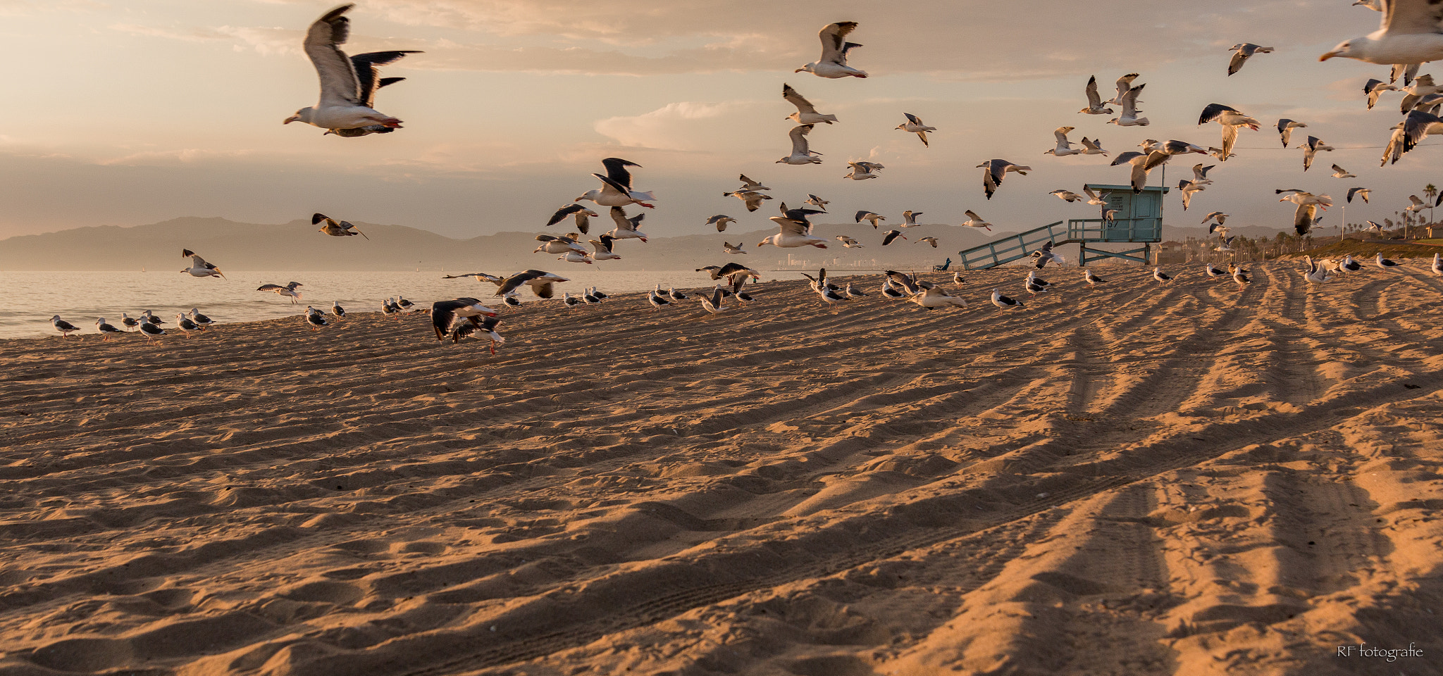 Canon EOS 70D + Sigma 24-105mm f/4 DG OS HSM | A sample photo. Santa monica photography