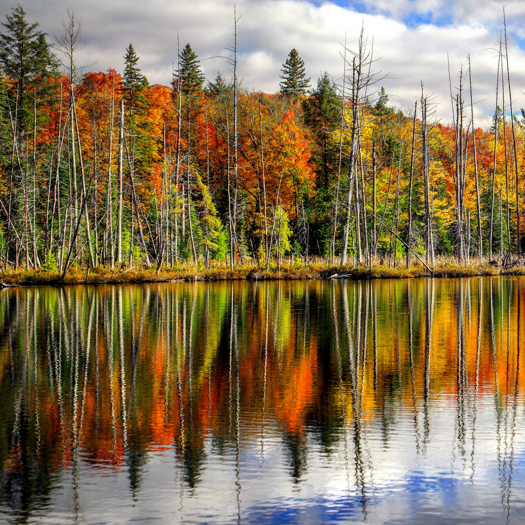 Sony a7 + Sony Vario Tessar T* FE 24-70mm F4 ZA OSS sample photo. Autumn reflections photography