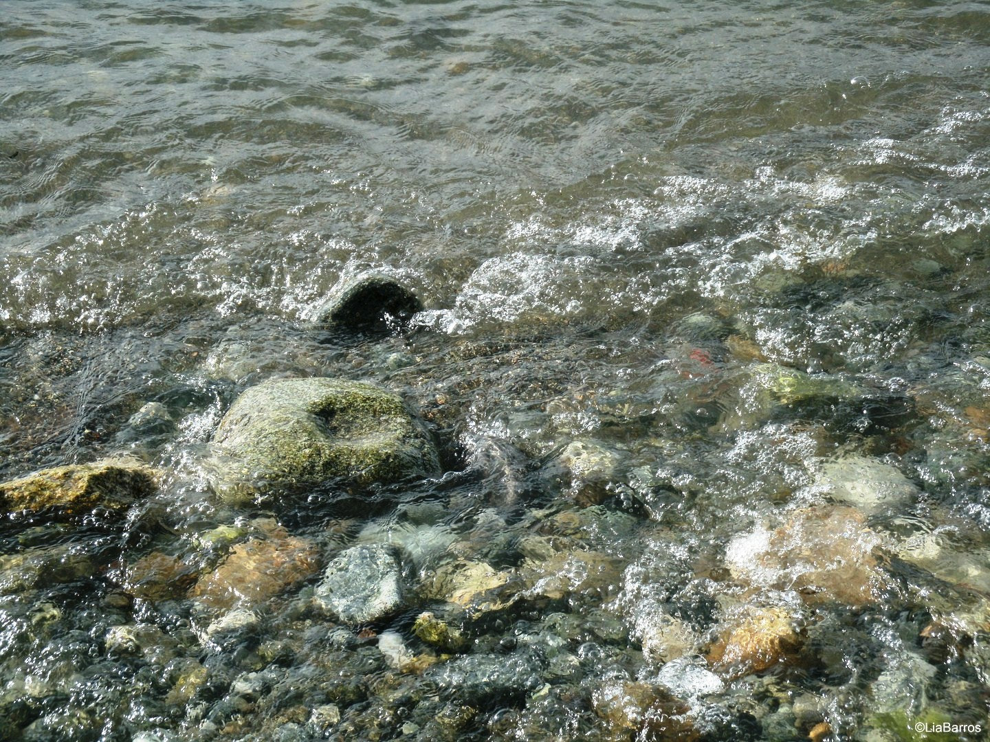 GENERAL IMAGING CO. A1455 sample photo. Lago nahuel huapi photography