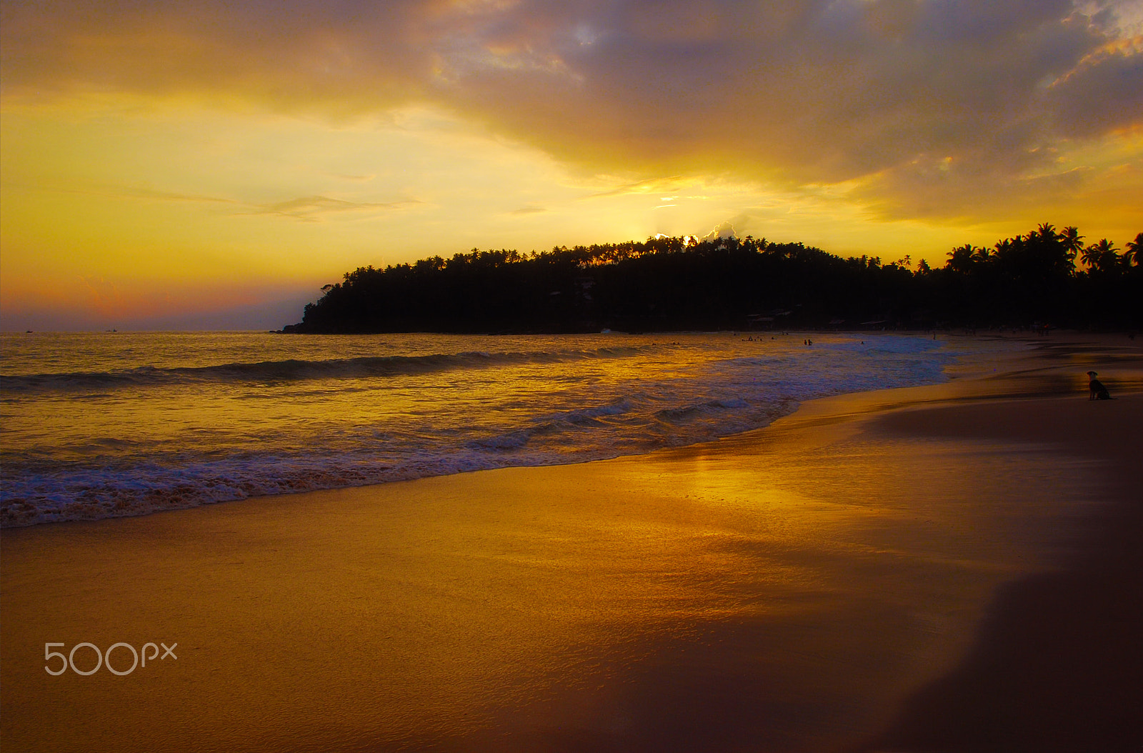 Nikon D40X sample photo. Maximage - p h o t o g r a p h y photography