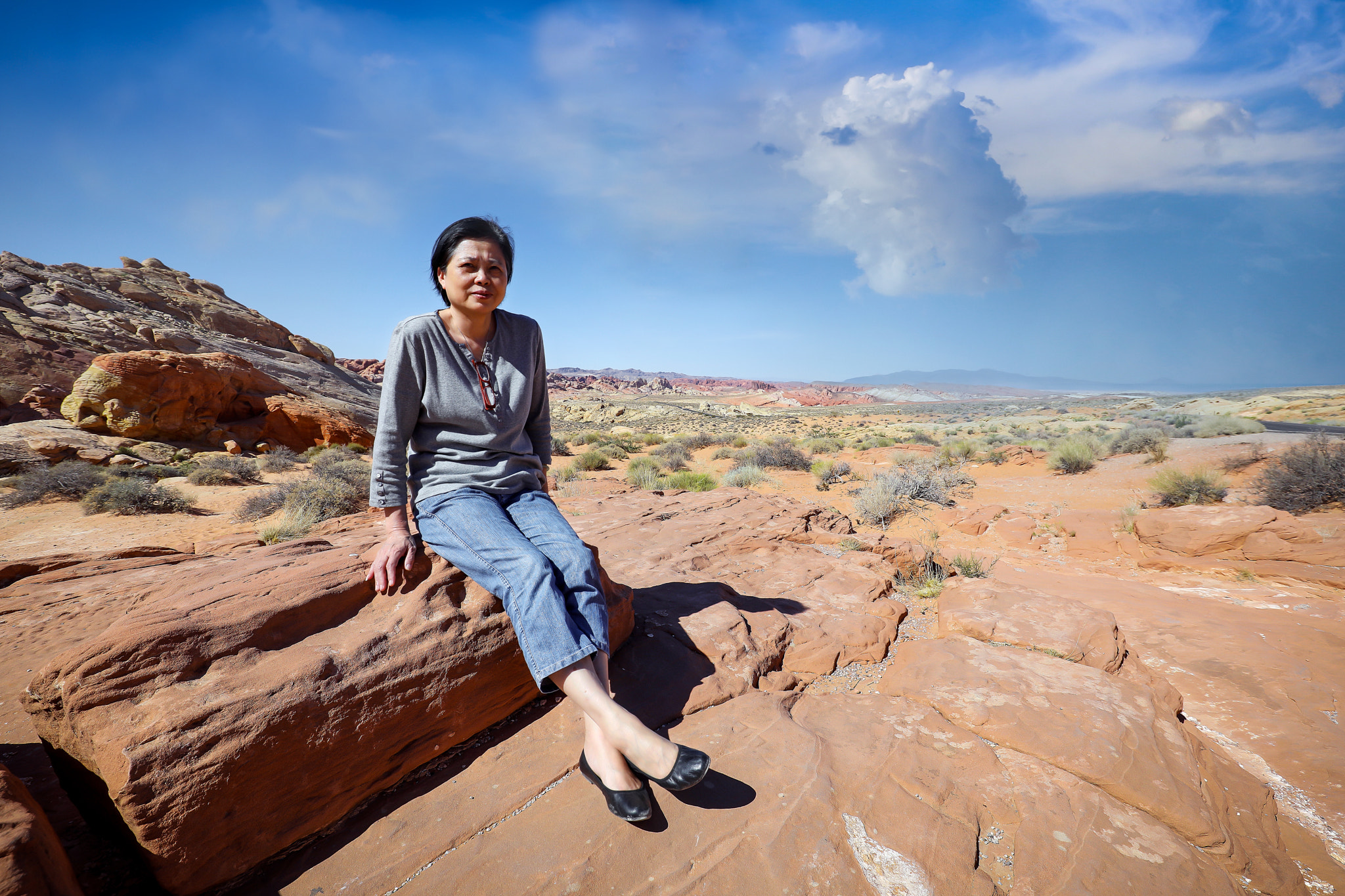 Canon EF 16-35mm F4L IS USM sample photo. Valley of fire photography