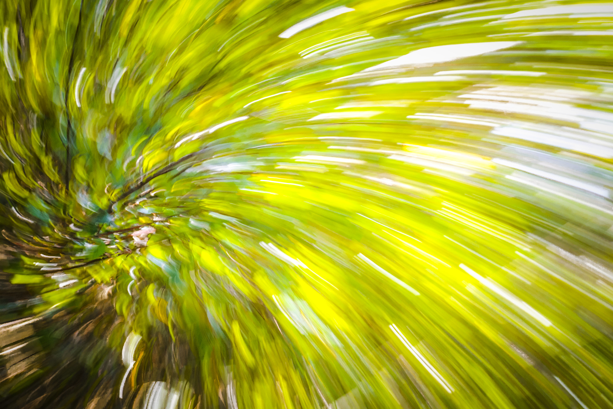 Nikon D40X sample photo. Zoom giro photography