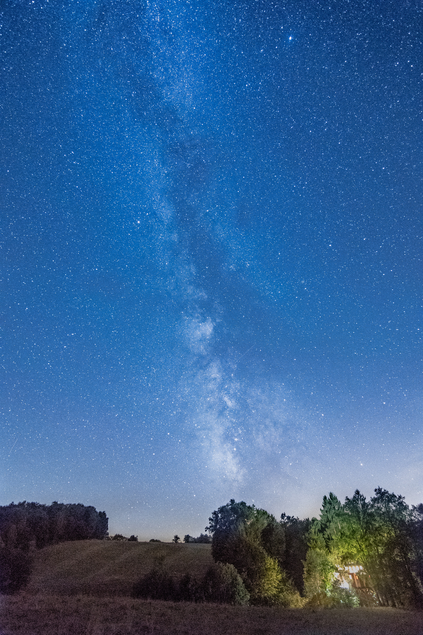 Nikon D500 + Tokina AT-X 11-20 F2.8 PRO DX (AF 11-20mm f/2.8) sample photo. Milky way and hut in a tree photography