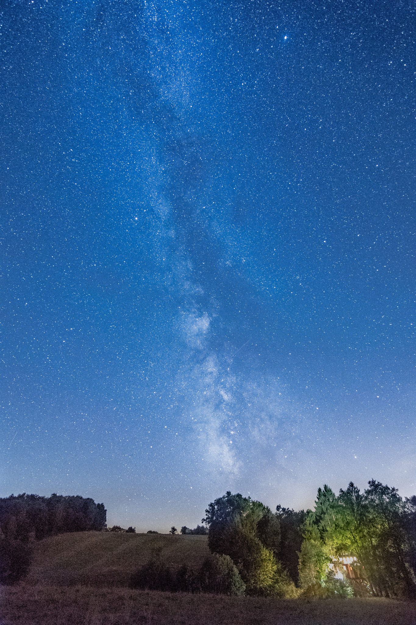 Nikon D500 sample photo. Milky way and hut in a tree photography