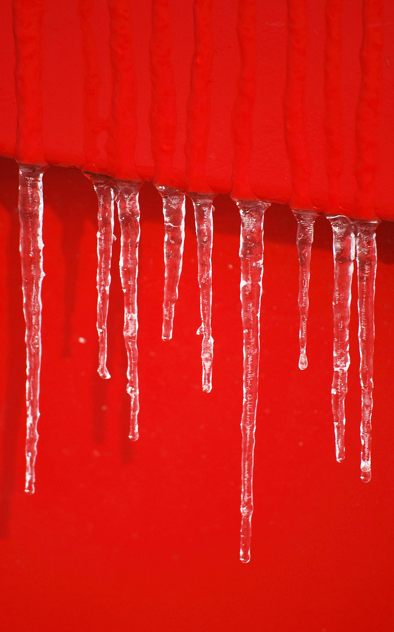 Nikon D40X sample photo. Icicles on red dumpster photography