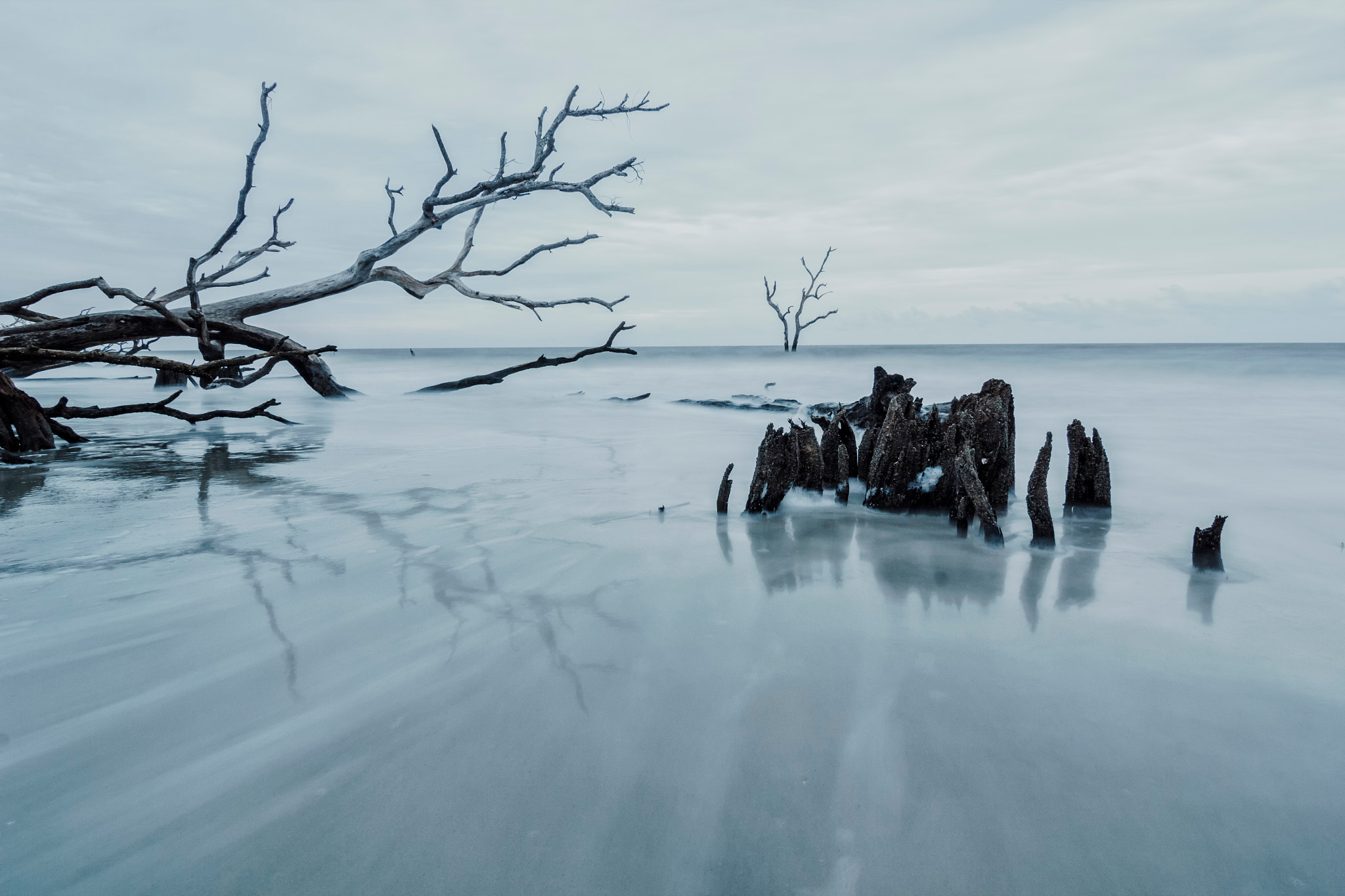 Canon EOS 550D (EOS Rebel T2i / EOS Kiss X4) sample photo. Skeletons in the surf photography