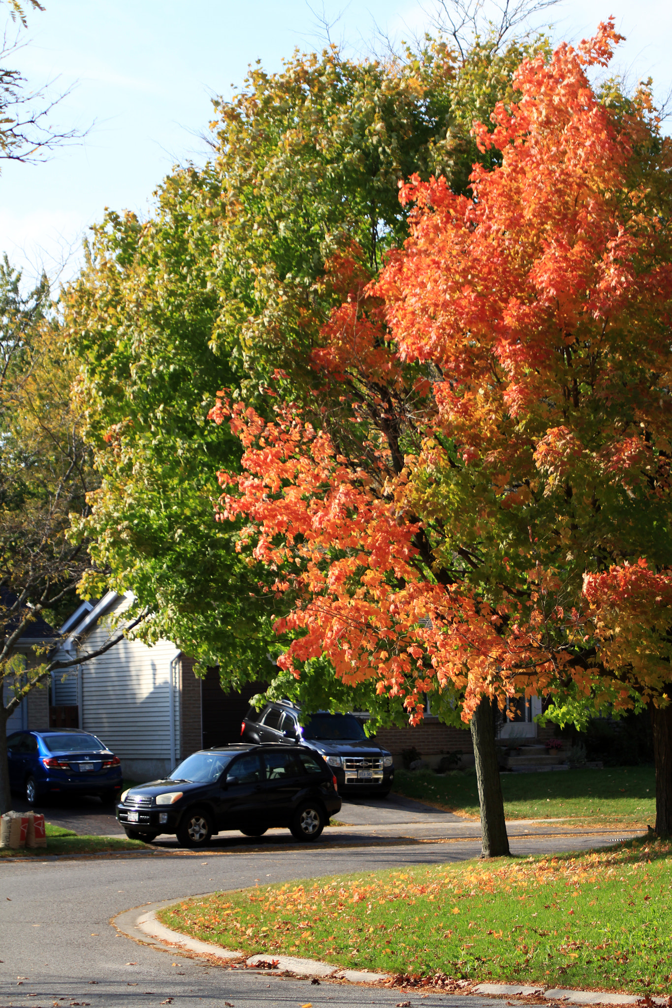 Canon EOS 7D + Canon EF 70-210mm f/4 sample photo. End of fall photography