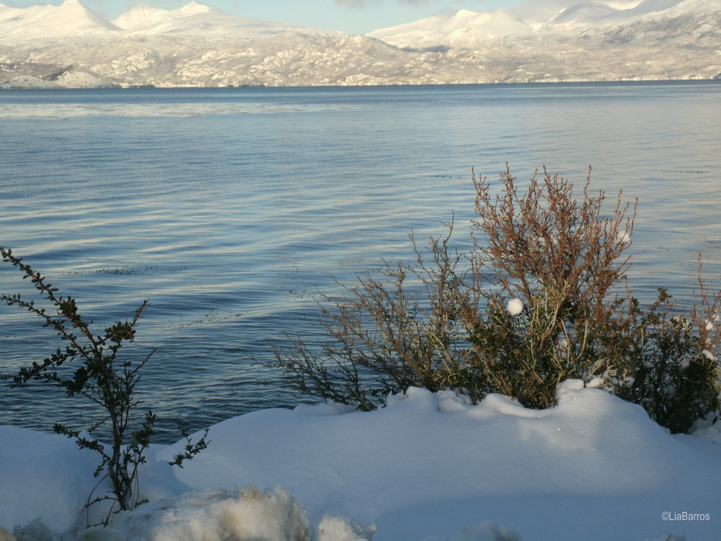 GENERAL IMAGING CO. A1455 sample photo. Beagle channel photography