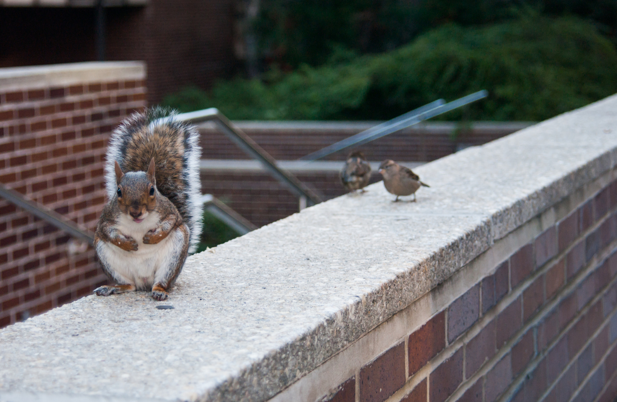 Nikon D1X sample photo. What? photography
