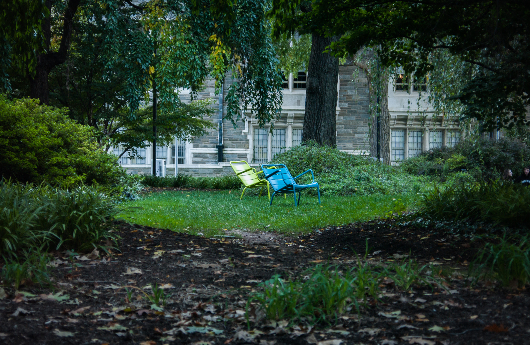 Nikon D1X sample photo. Alone, but together photography