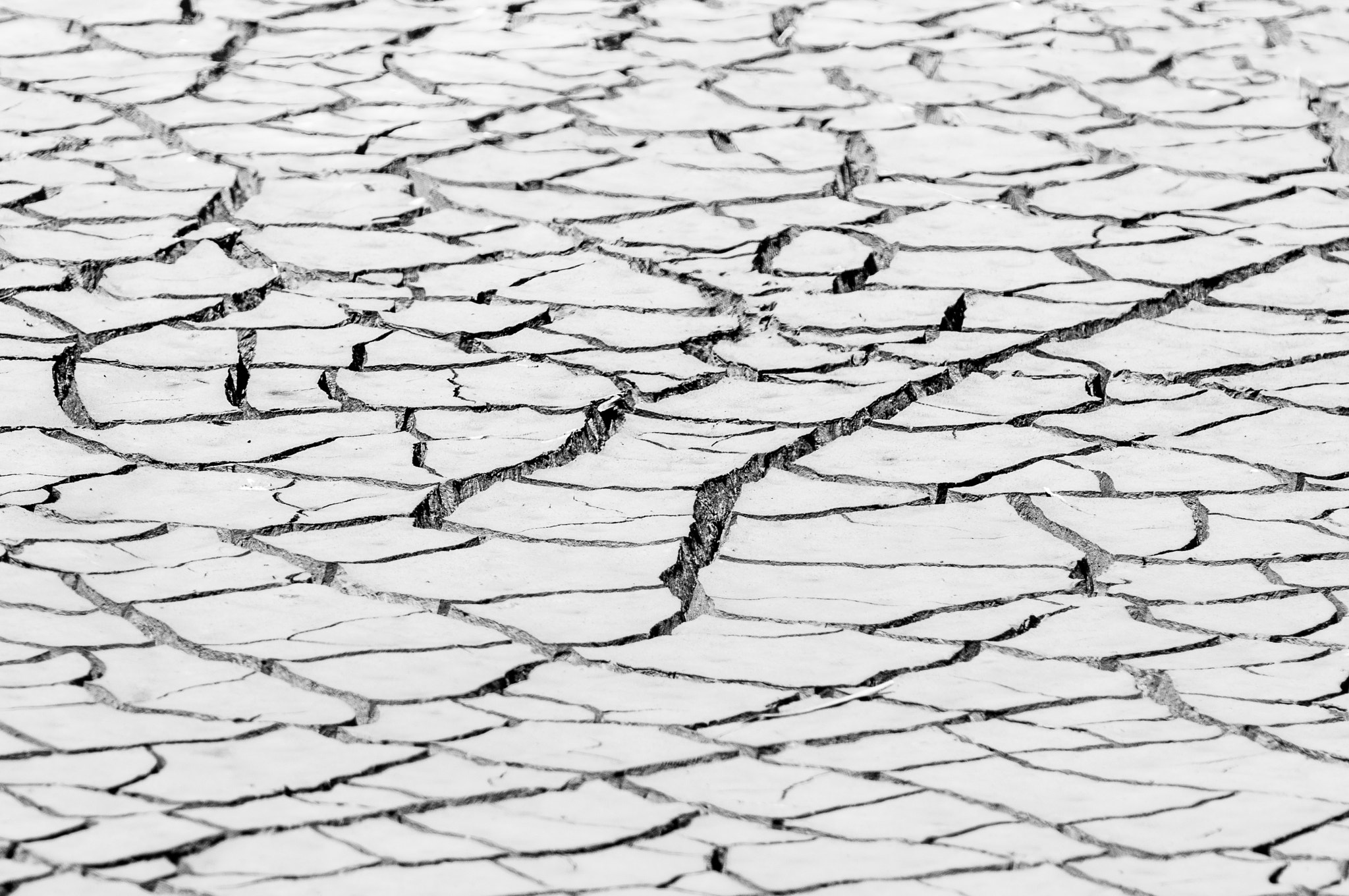 Nikon AF-S Nikkor 70-200mm F2.8G ED VR II sample photo. Drought photography