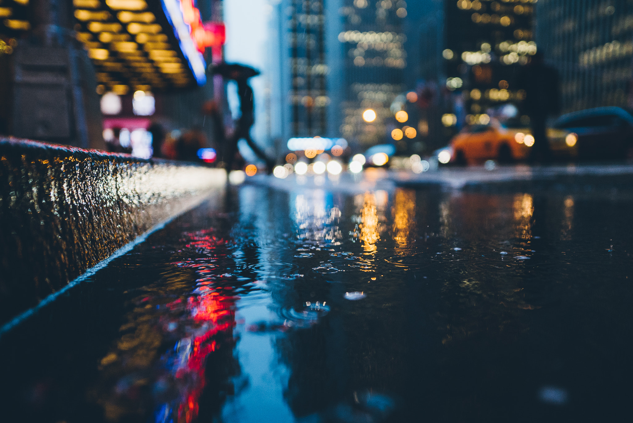 Sony a7S II sample photo. Photography by dave krugman, @dave.krugman on instagram. photography