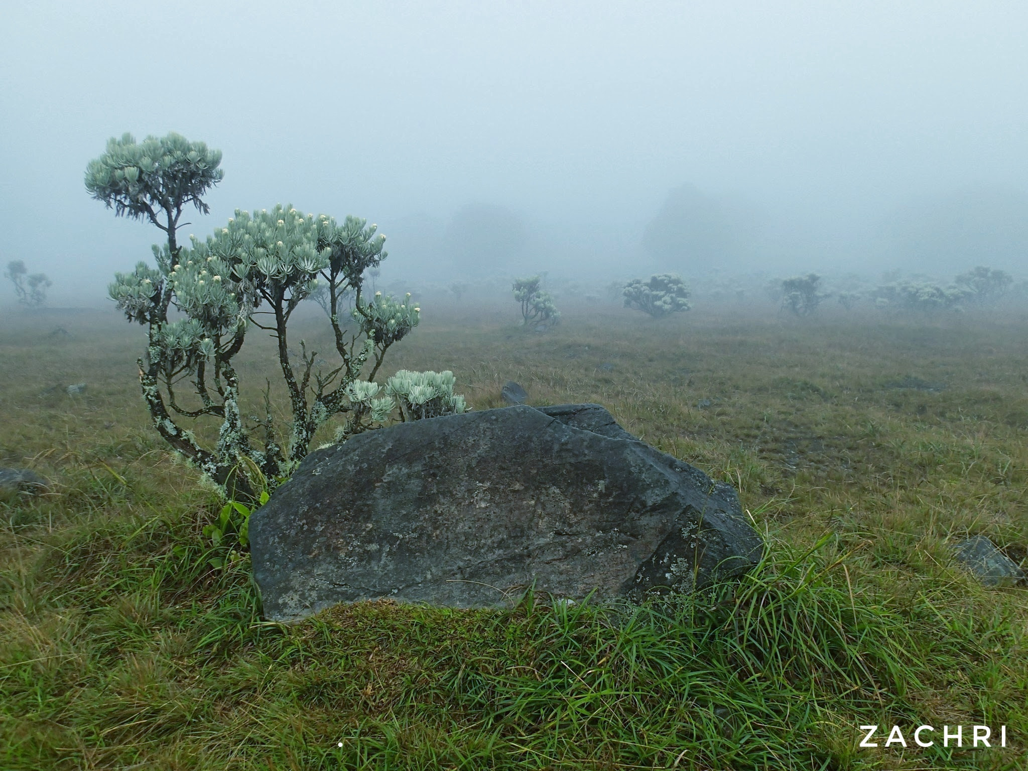 Olympus TG-1 sample photo. Morning mist photography