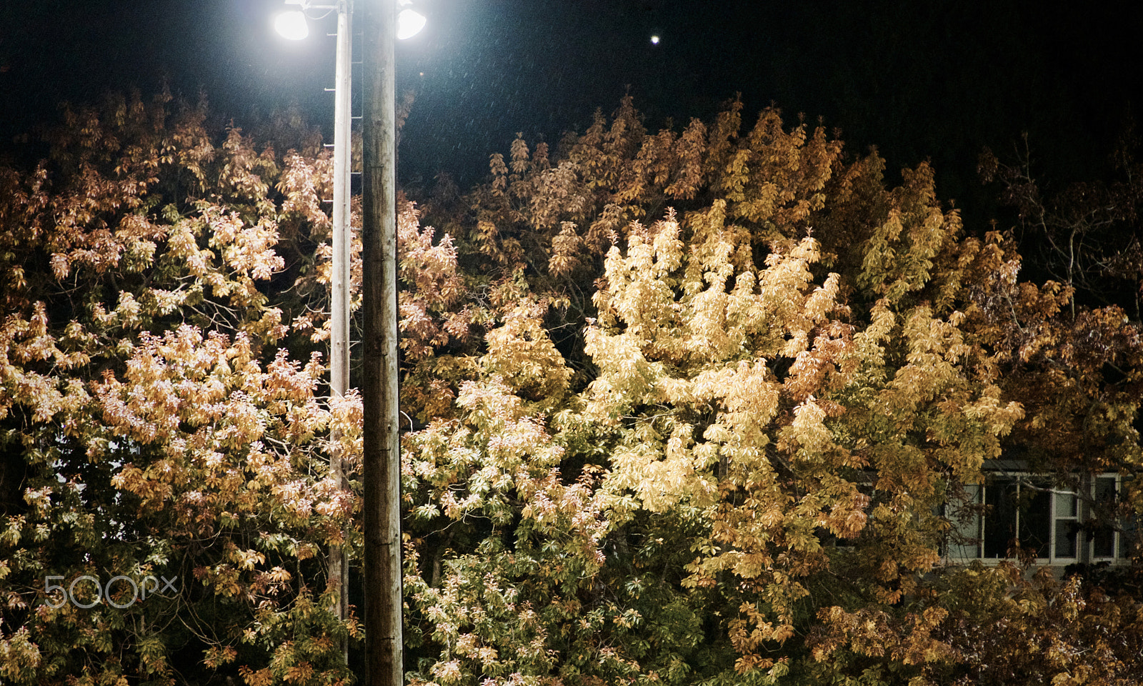 Sony E PZ 18-105mm F4 G OSS sample photo. Fall night lights photography