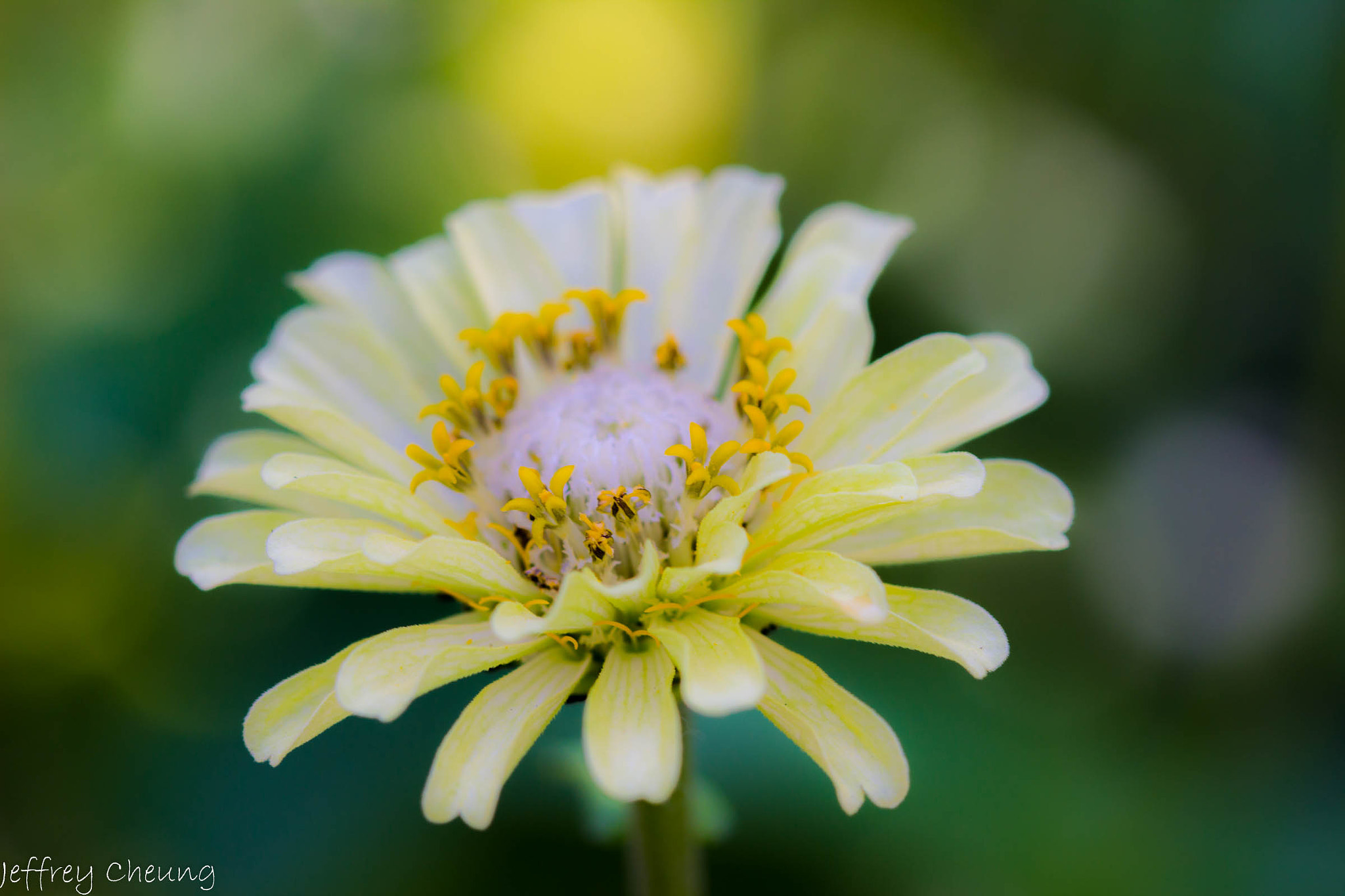 Canon EF 100mm F2.8 Macro USM sample photo. One photography