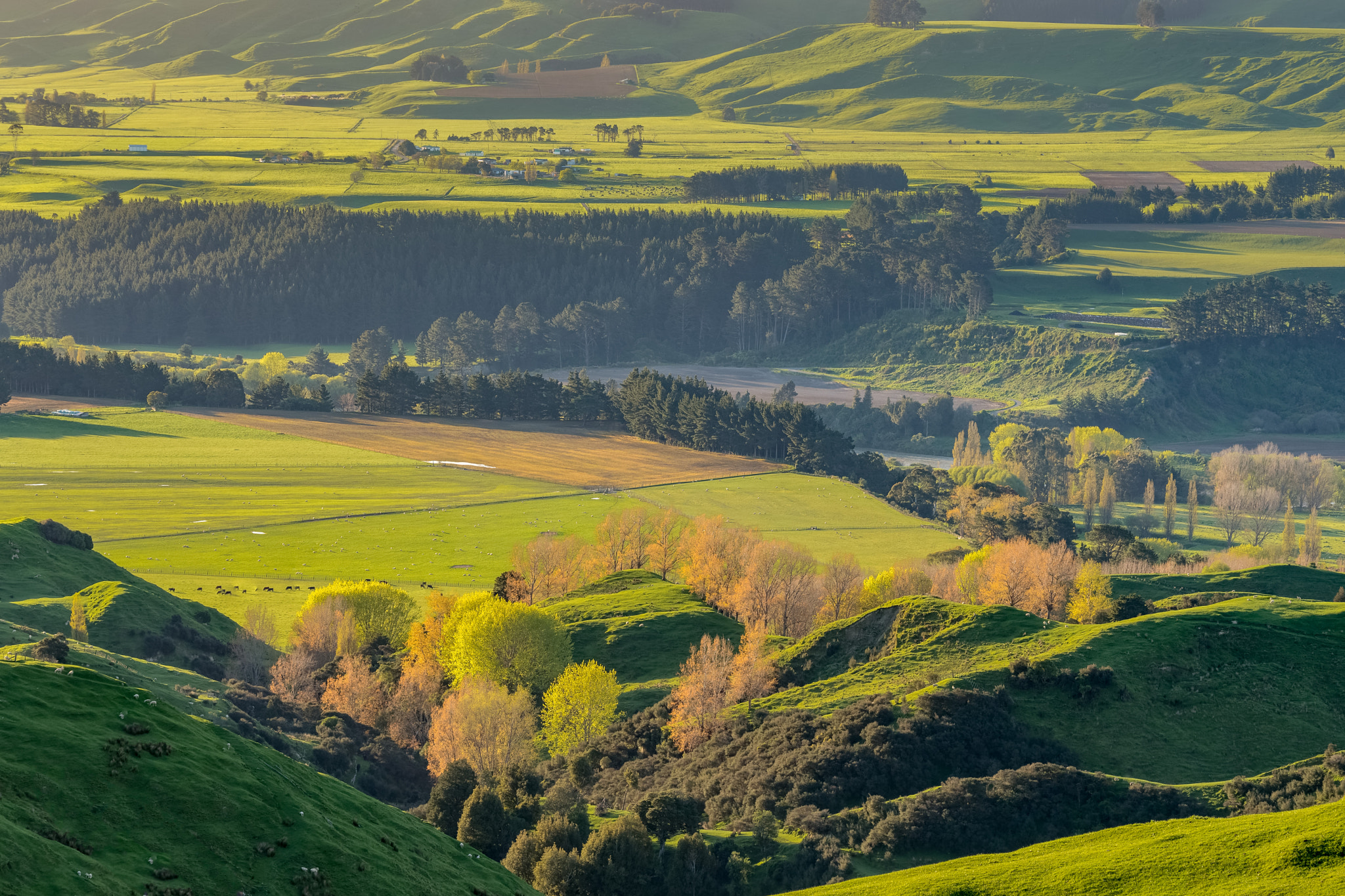 Sony 70-300mm F4.5-5.6 G SSM sample photo. River terraces, new zealand photography