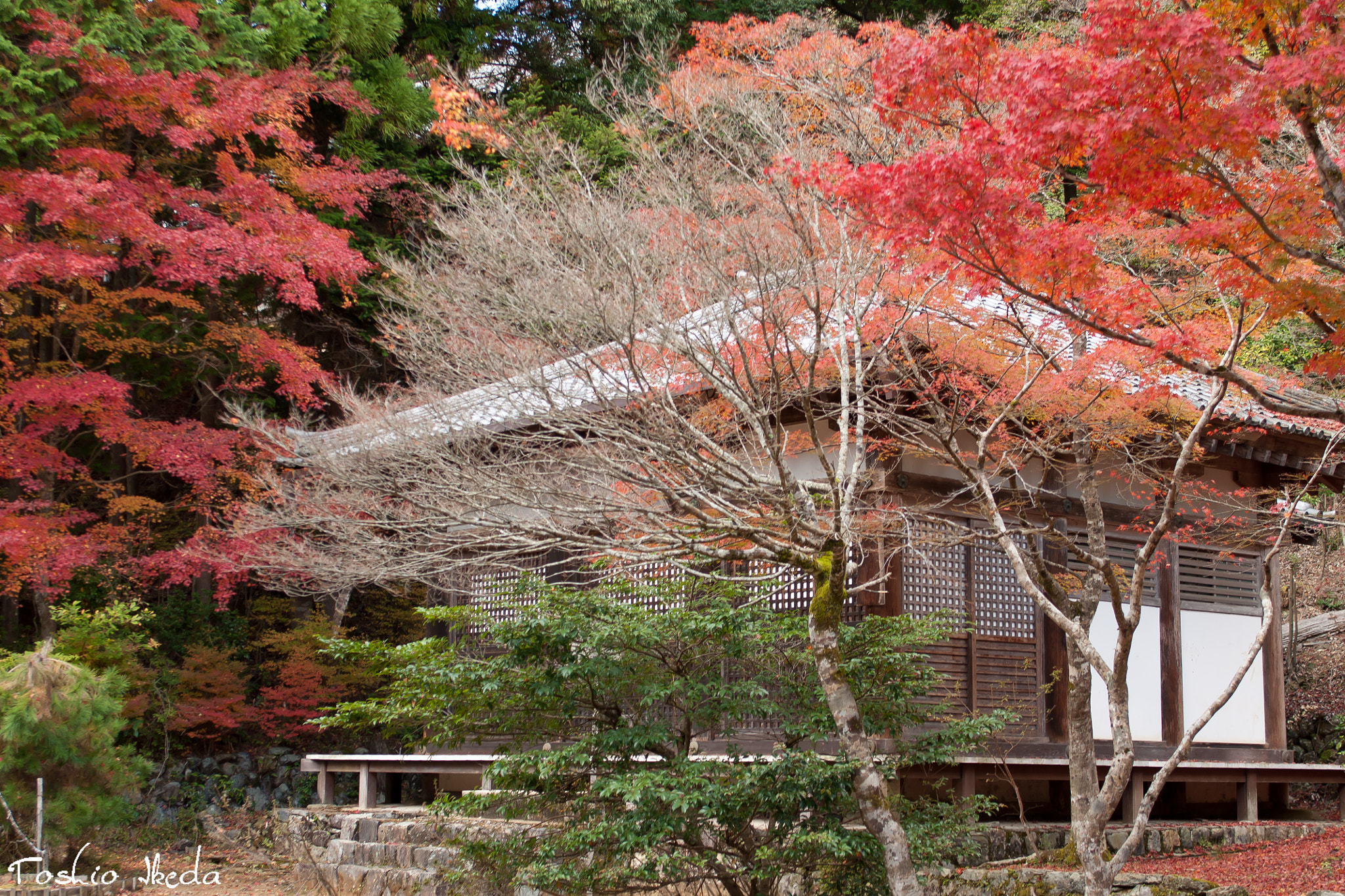 Sony Alpha DSLR-A700 + Sigma AF 28-70mm F2.8 sample photo. Autumn photography