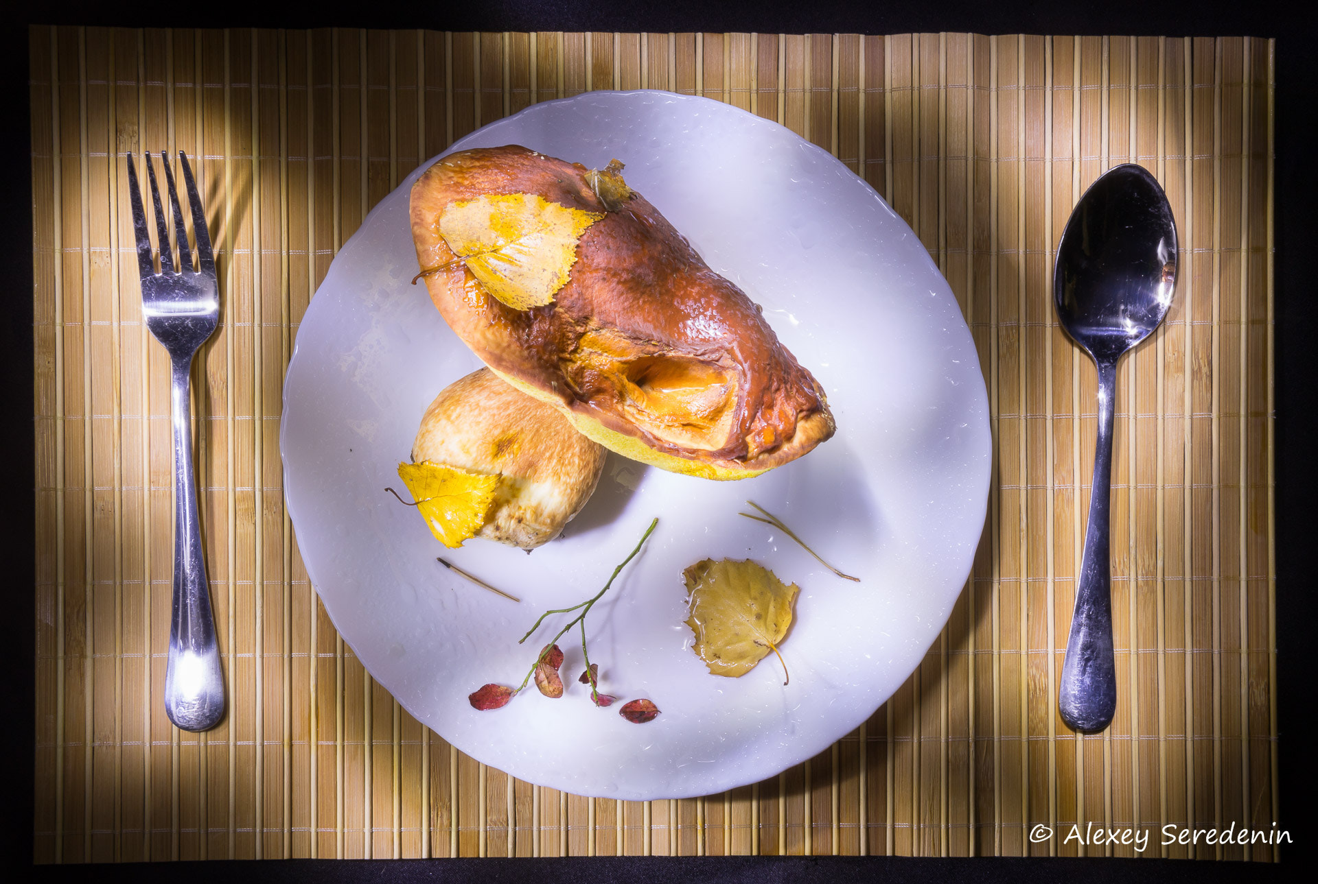 Canon EF-S 18-135mm F3.5-5.6 IS sample photo. Mushroom picker's lunch. photography