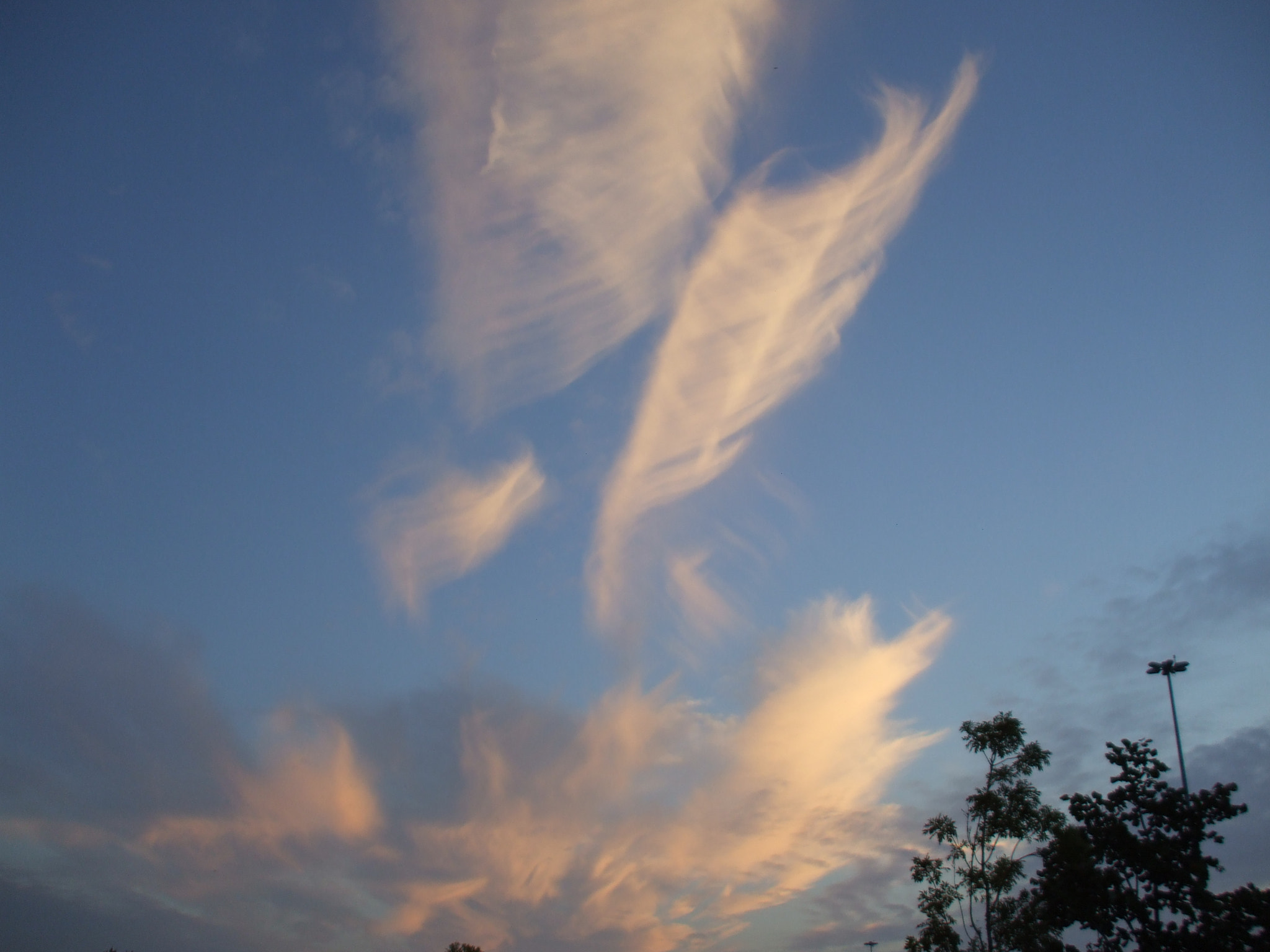 Fujifilm FinePix A800 sample photo. Clouds of a feather lol. photography
