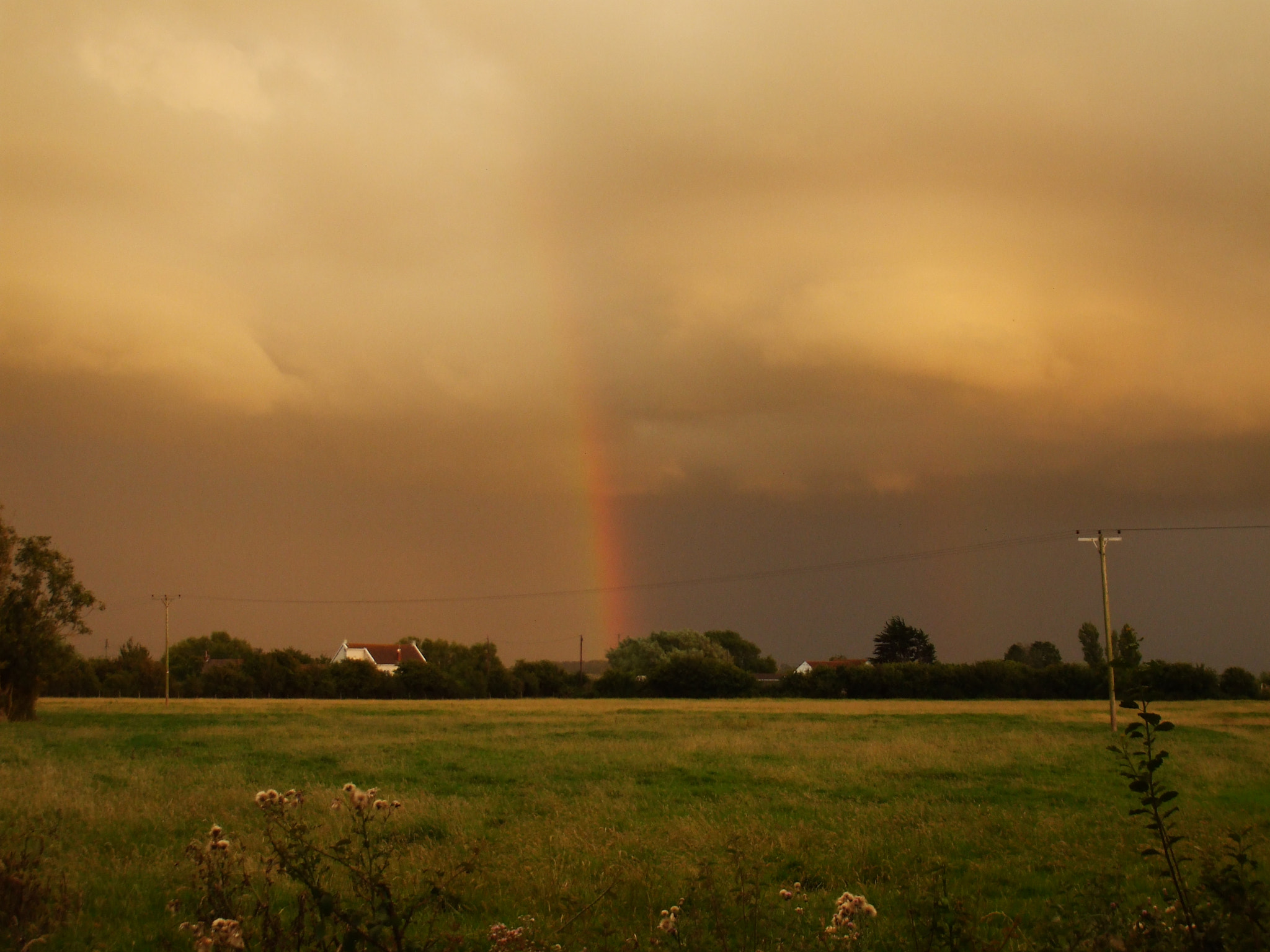Fujifilm FinePix A800 sample photo. Storm brewing. photography