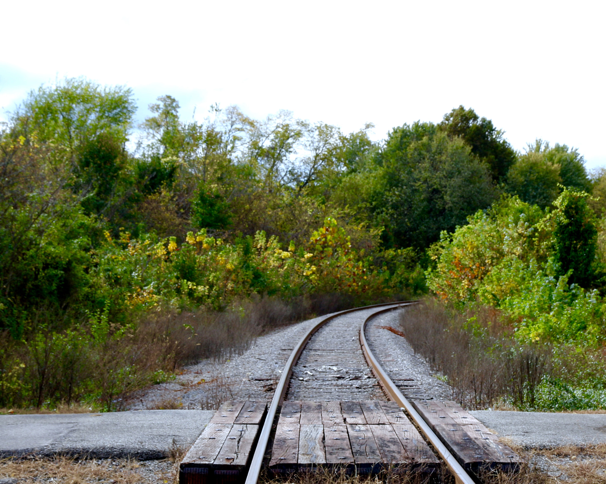 Canon EF-S 15-85mm F3.5-5.6 IS USM sample photo. Greenwood park louisville ky. photography
