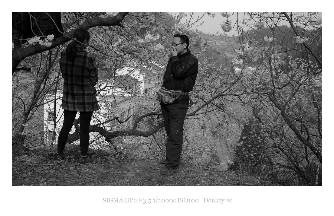 Sigma DP2 sample photo. The cherry valley photography