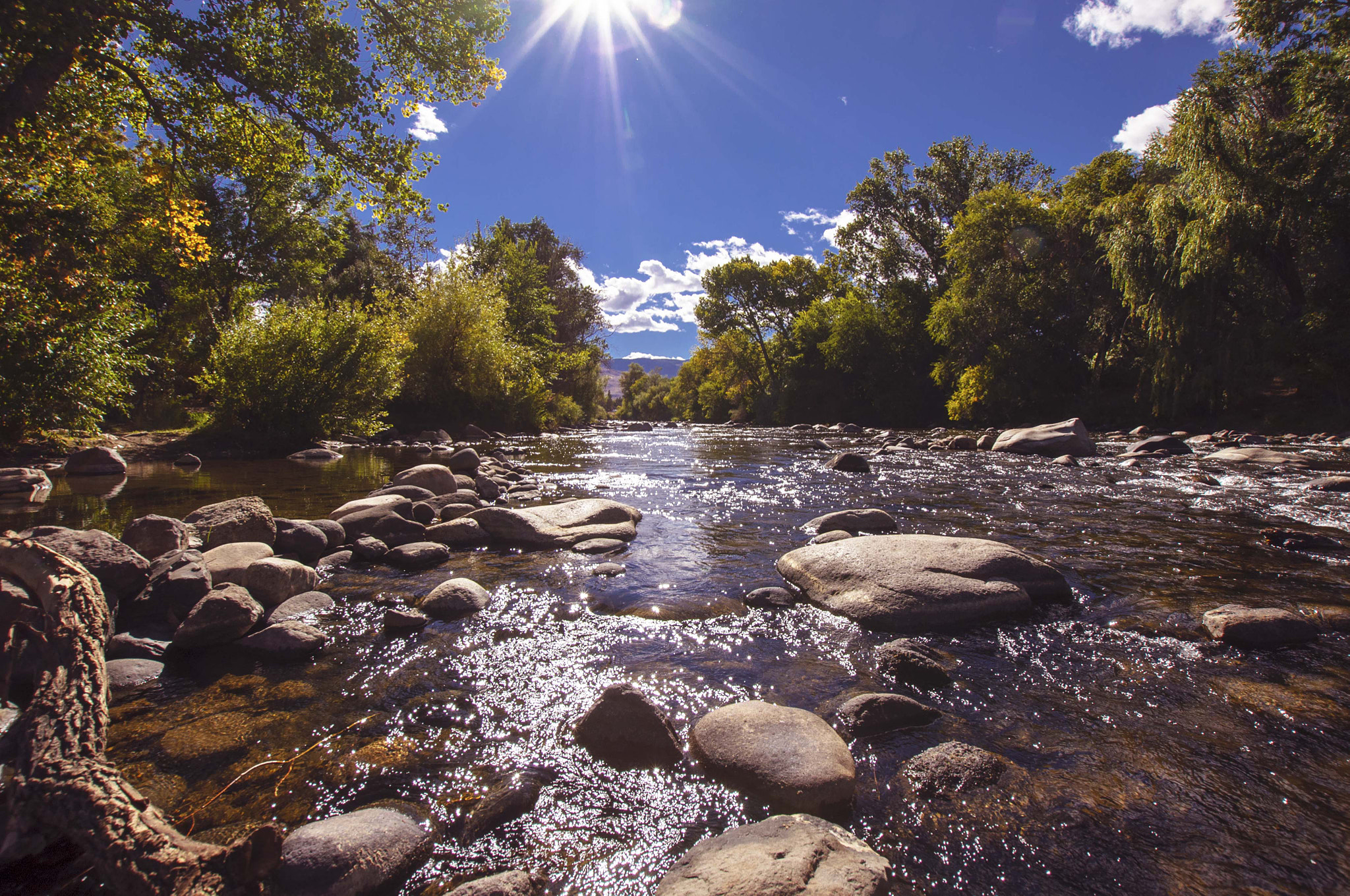 Nikon D5000 + Sigma 10-20mm F3.5 EX DC HSM sample photo. Truckee river photography