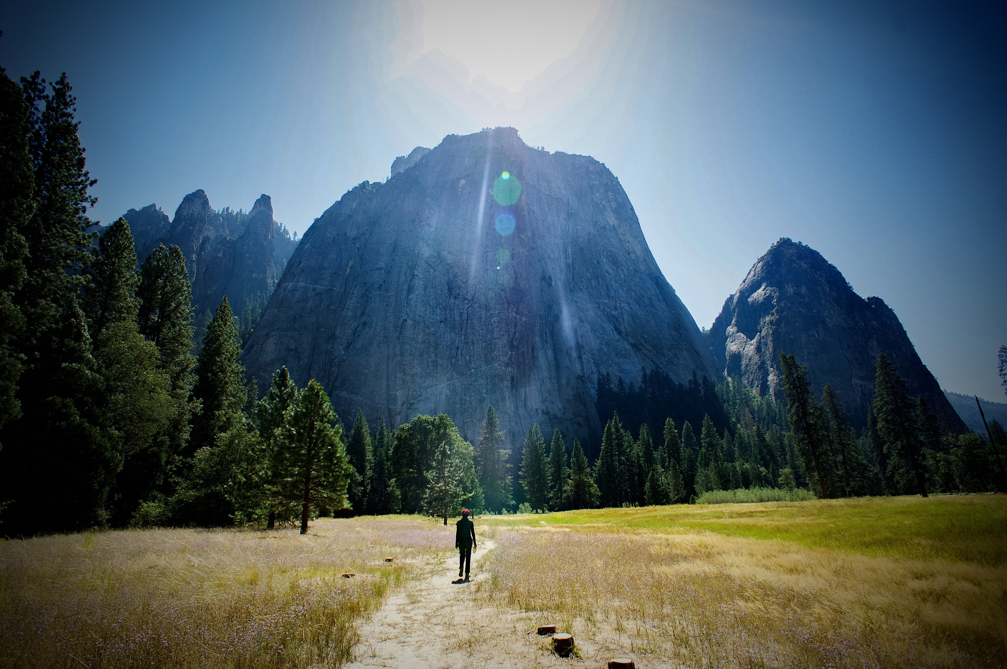 Sony Alpha NEX-5N + Sony E 16mm F2.8 sample photo. Yosemite parks cathedral rocks and spires photography