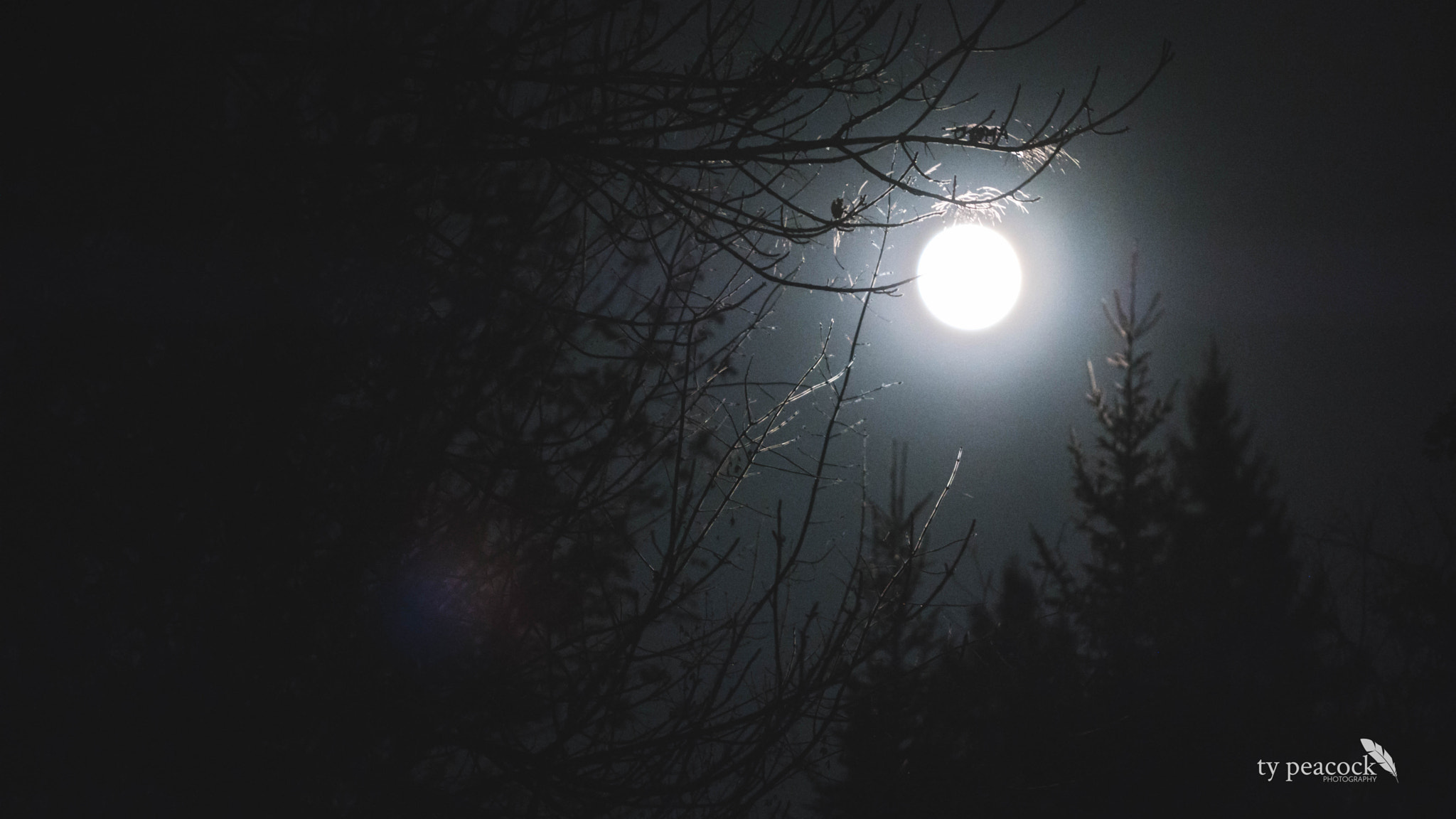 NX 50-150mm F2.8 S sample photo. Full moon rising. photography
