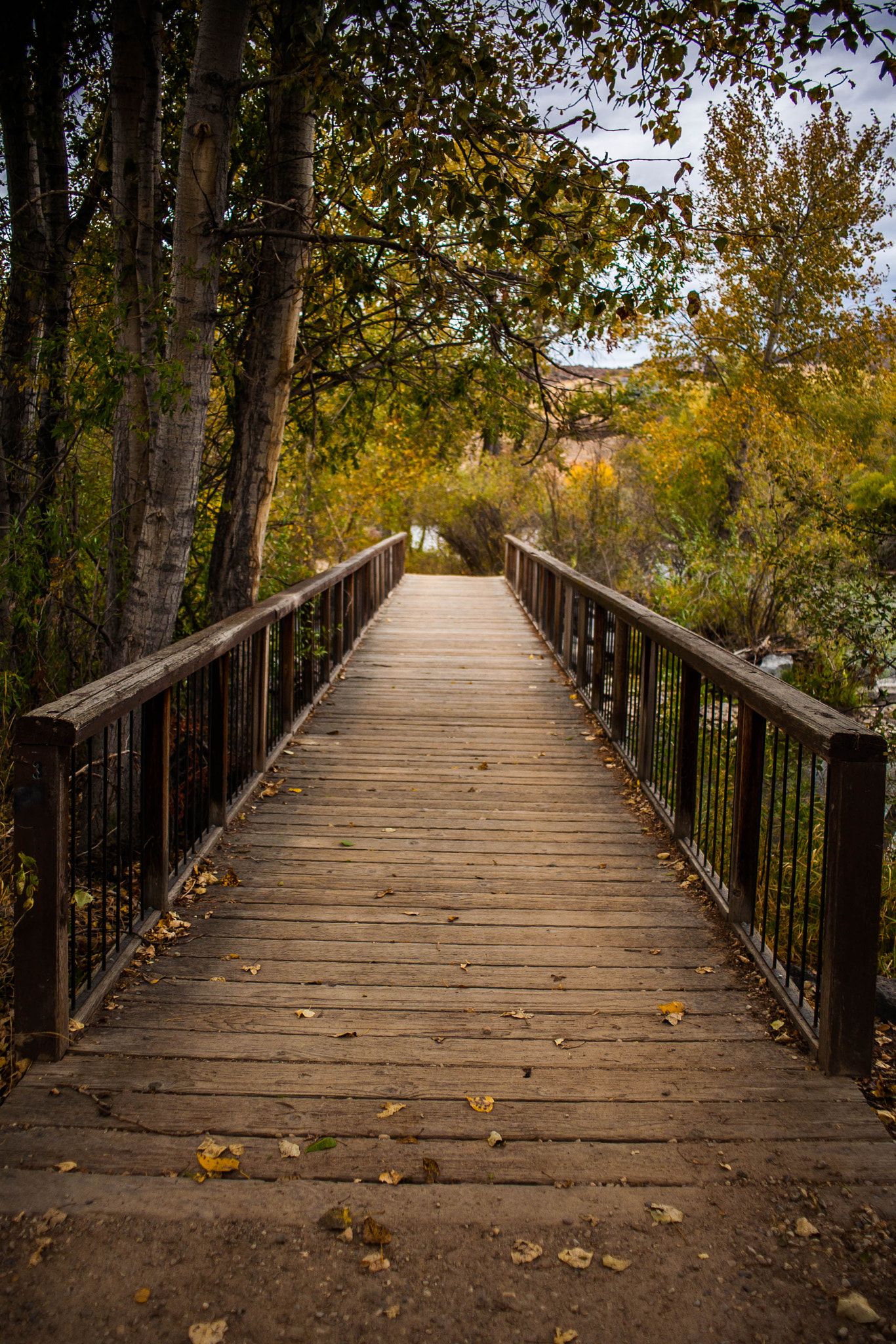 Canon EF 28-80mm f/3.5-5.6 sample photo. Greenbelt bridge fall time photography